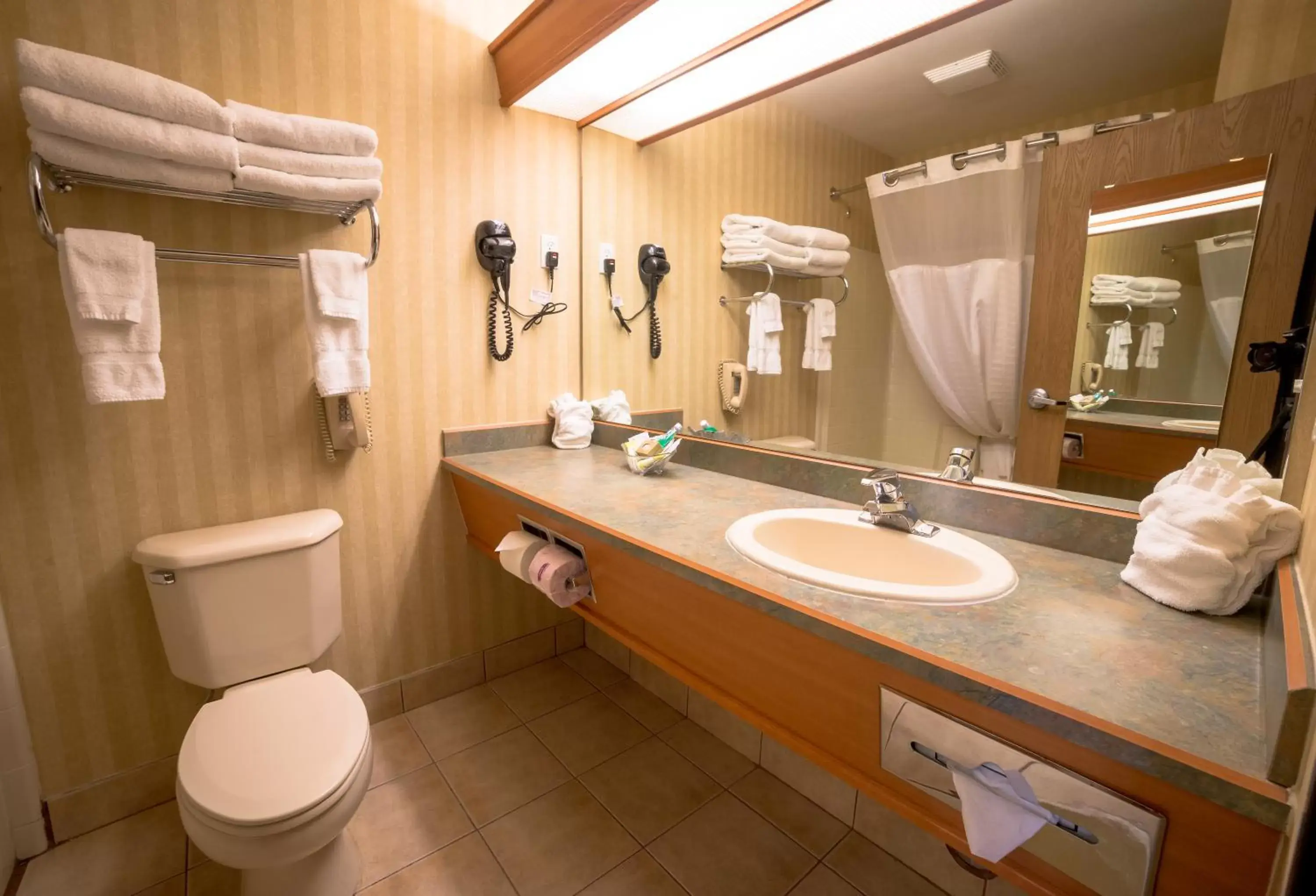 Bathroom in SureStay Plus by Best Western Enterprise