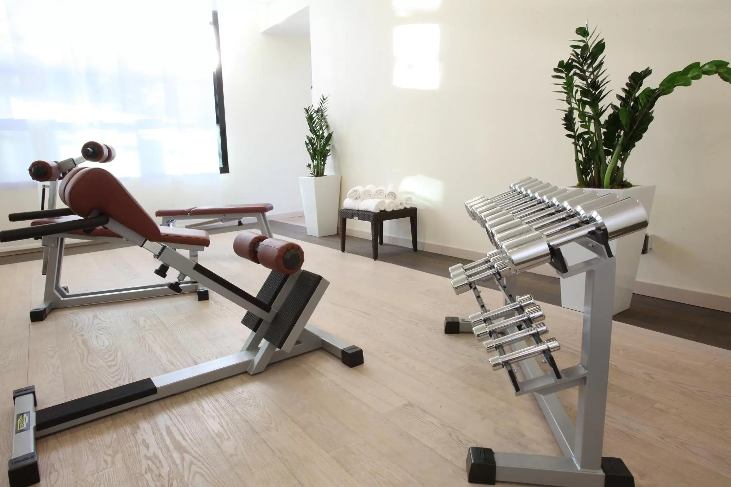 Fitness centre/facilities, Fitness Center/Facilities in Starhotels Grand Milan