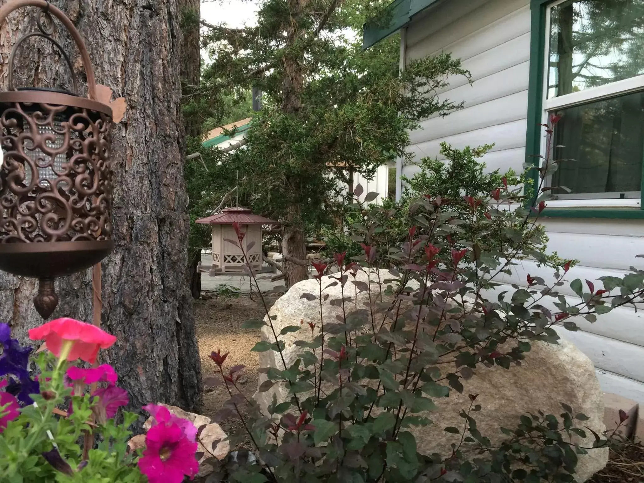 Garden in Hillcrest Suites & Cabins