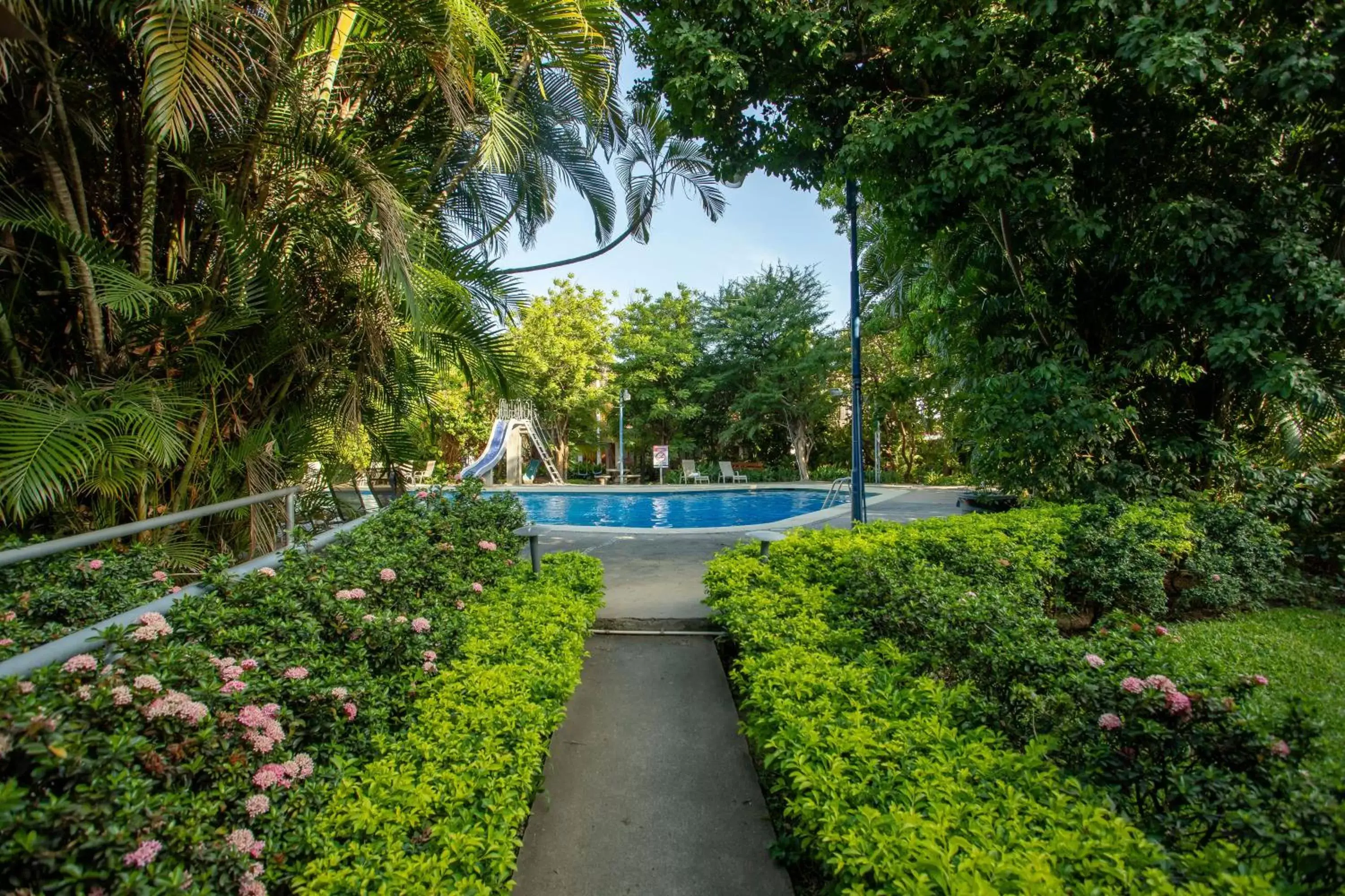 Garden, Swimming Pool in Hotel Boyeros