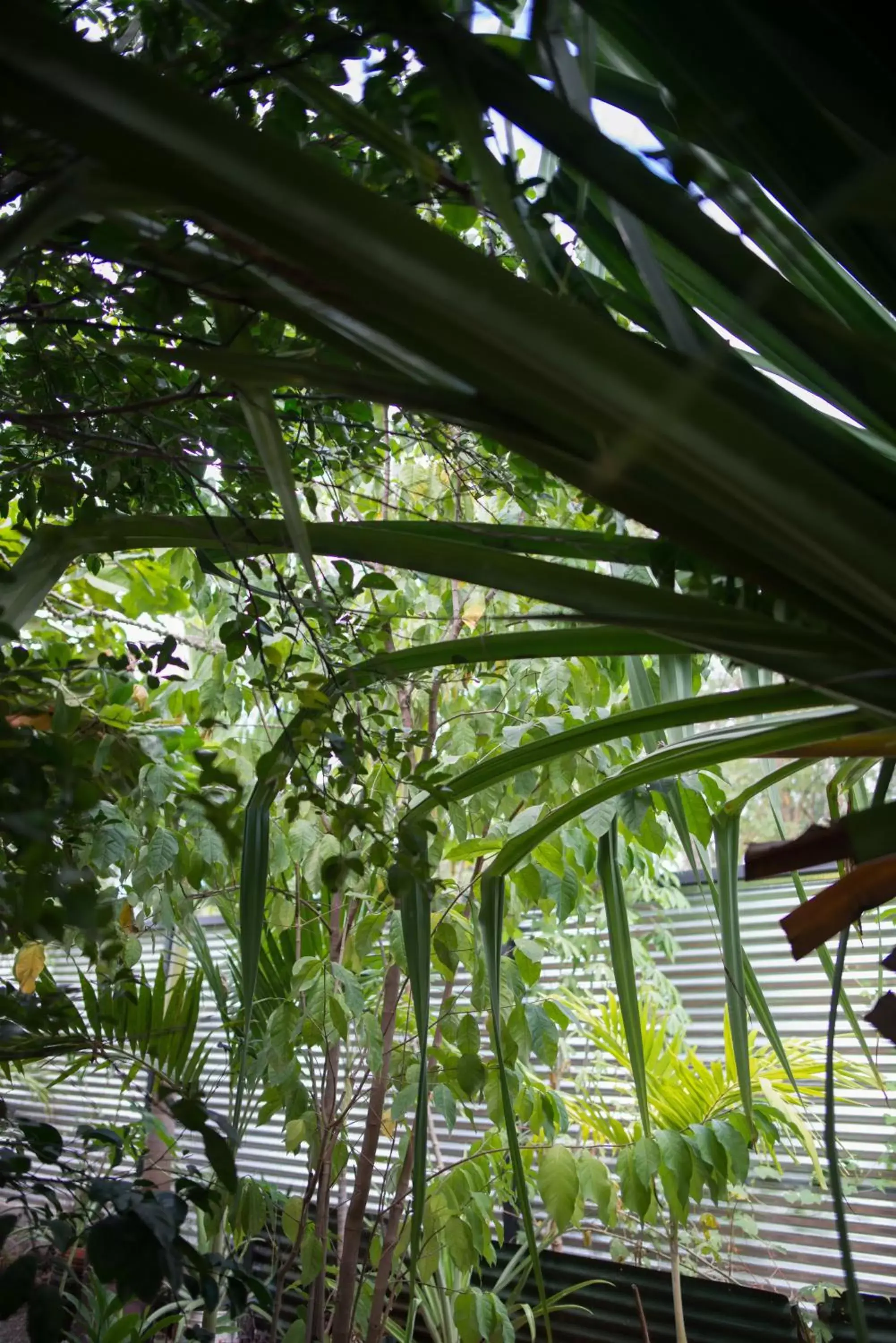 Property building in Tamarindo Sunshine