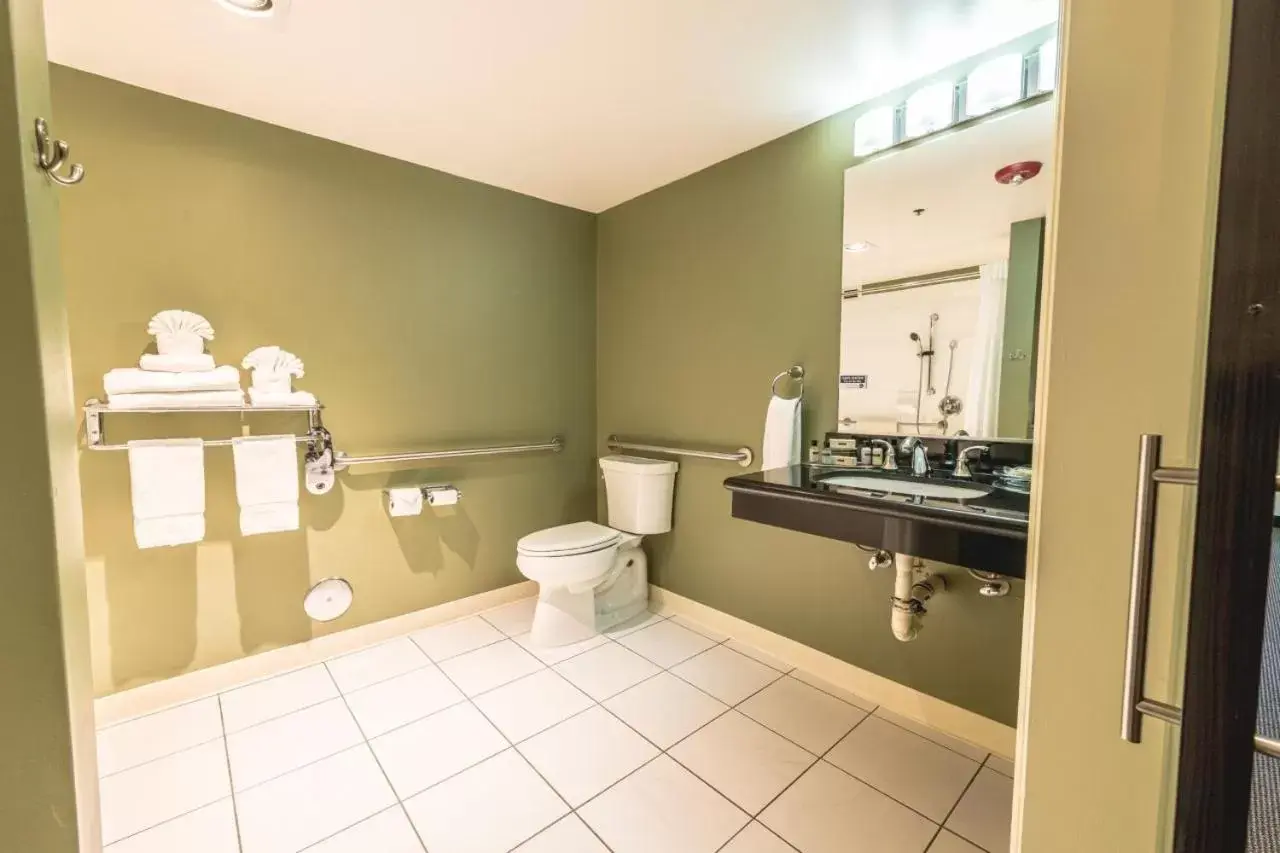 Toilet, Bathroom in Maple Tree Inn