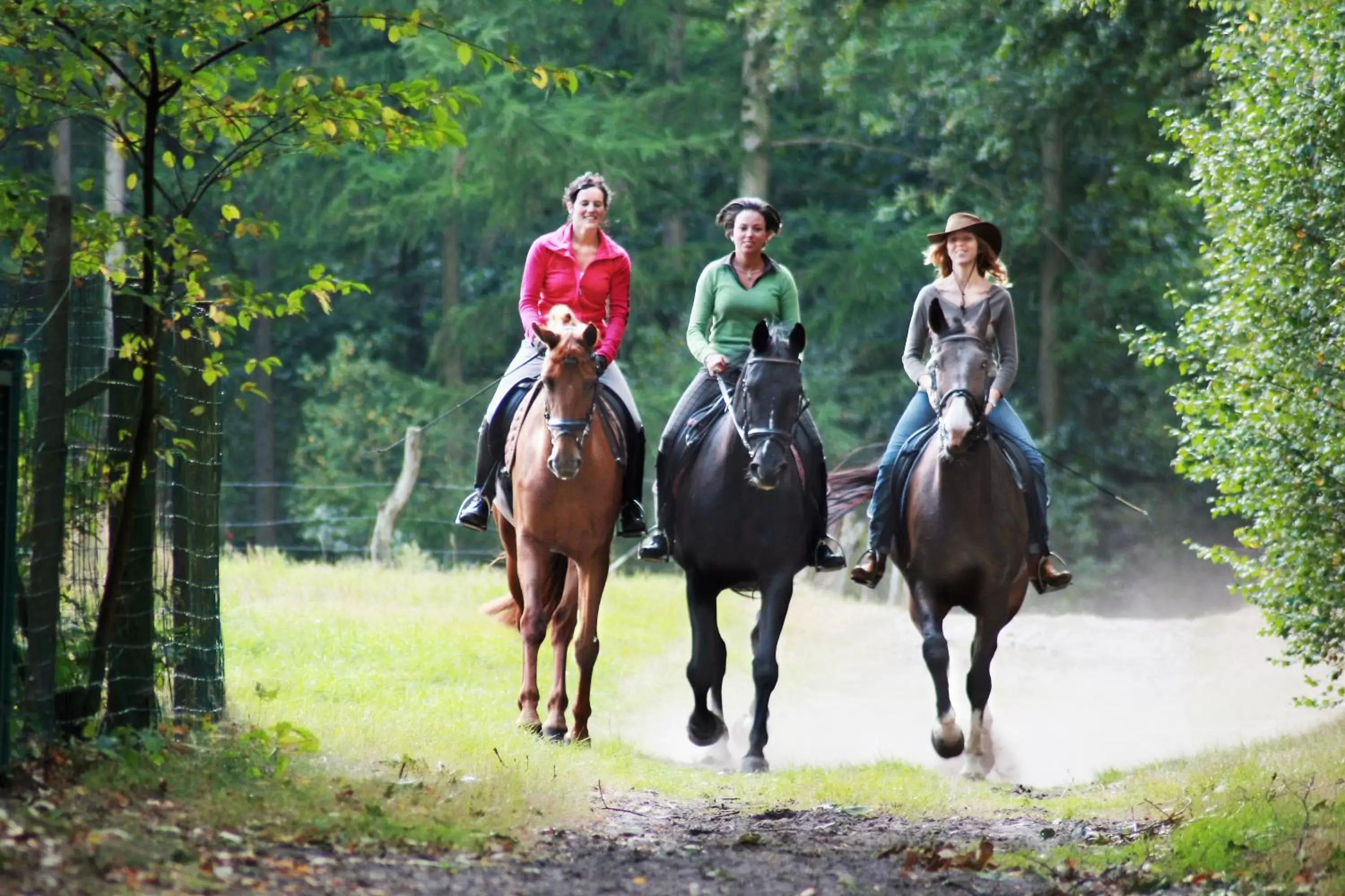 Horse-riding, Horseback Riding in Hotel De Boskar Peer