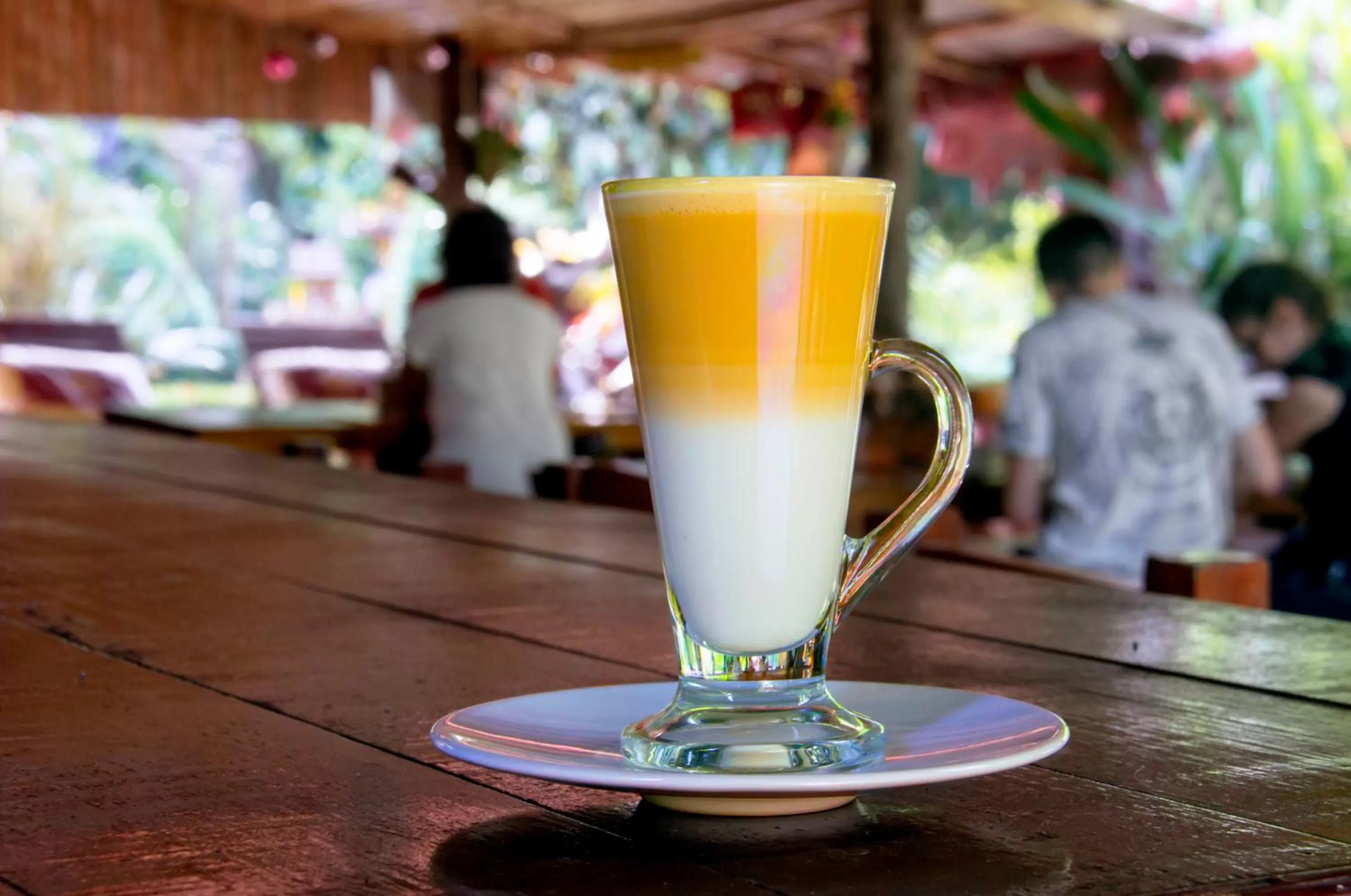 Food in Khao Sok Palmview Resort