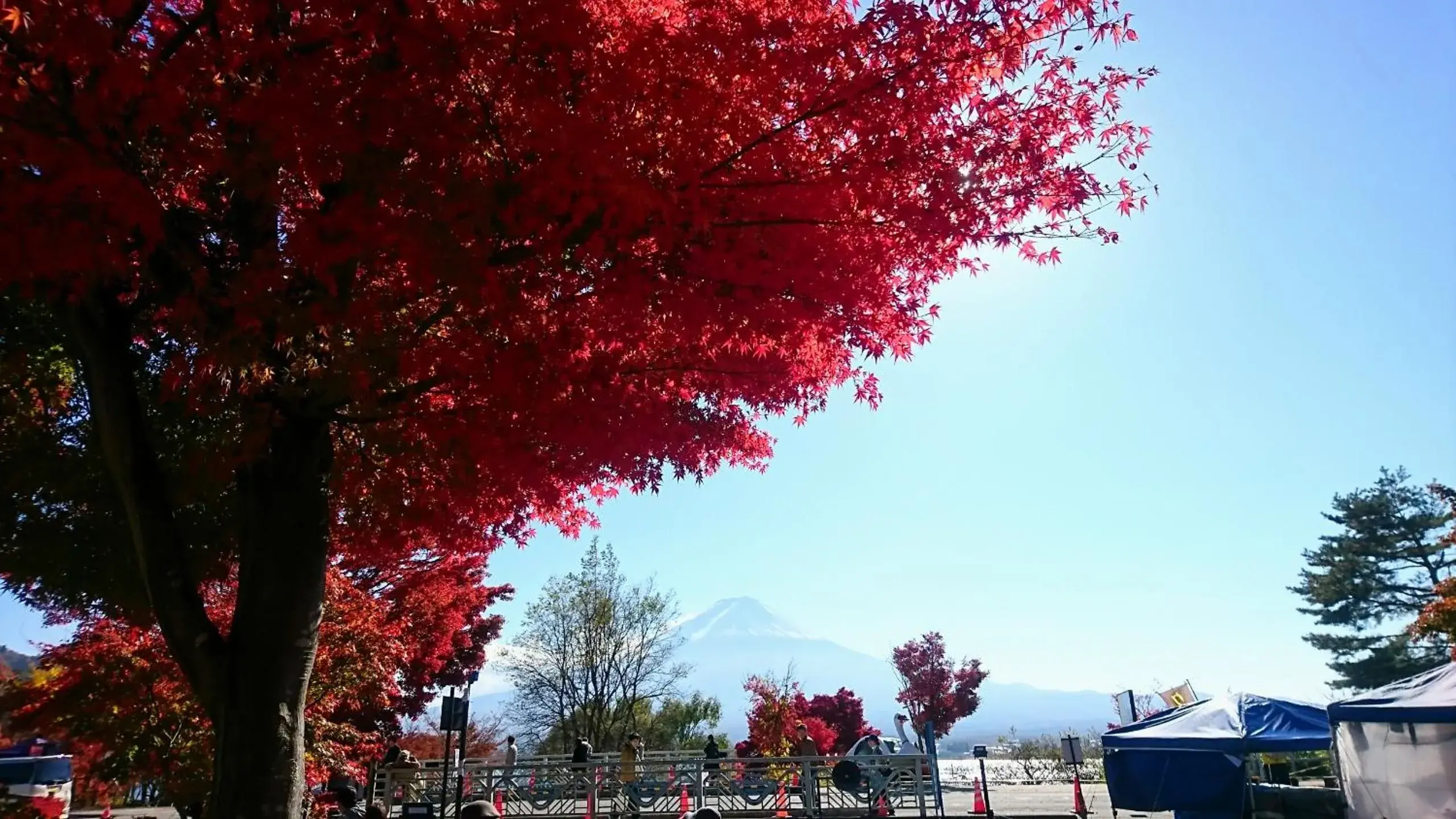 Autumn in Lakeland Hotel Mizunosato