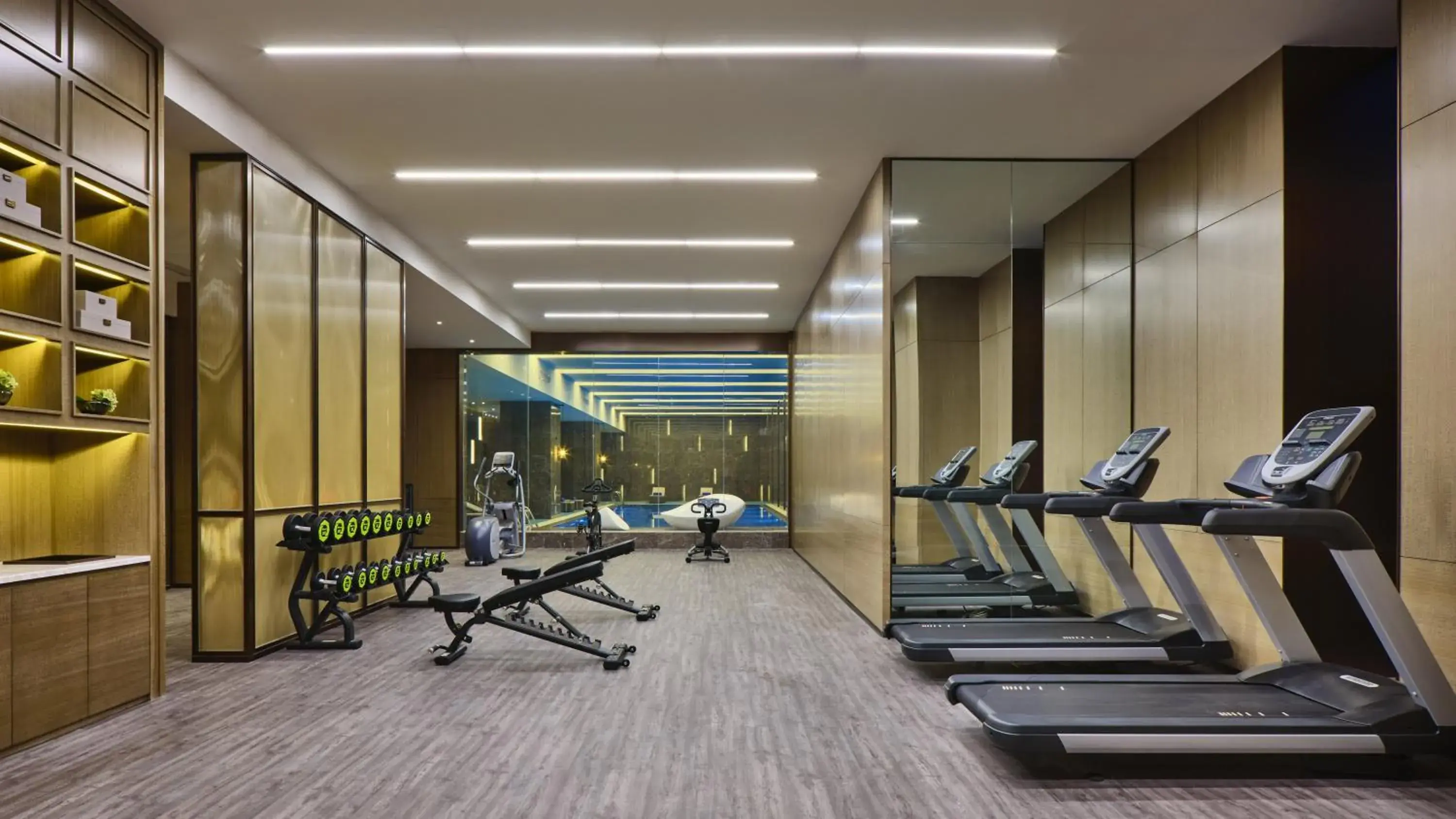Fitness centre/facilities, Fitness Center/Facilities in Crowne Plaza Wuhan Development Zone, an IHG Hotel