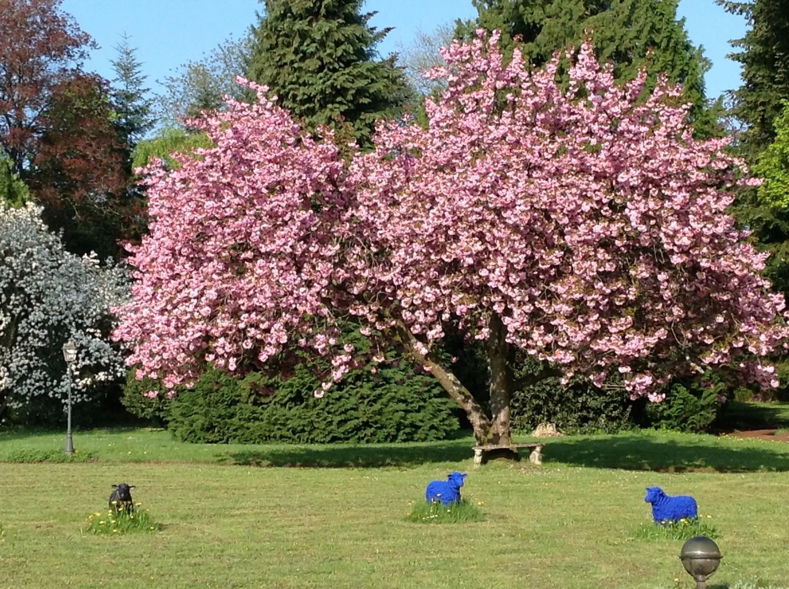 Garden in MaisonMazerand