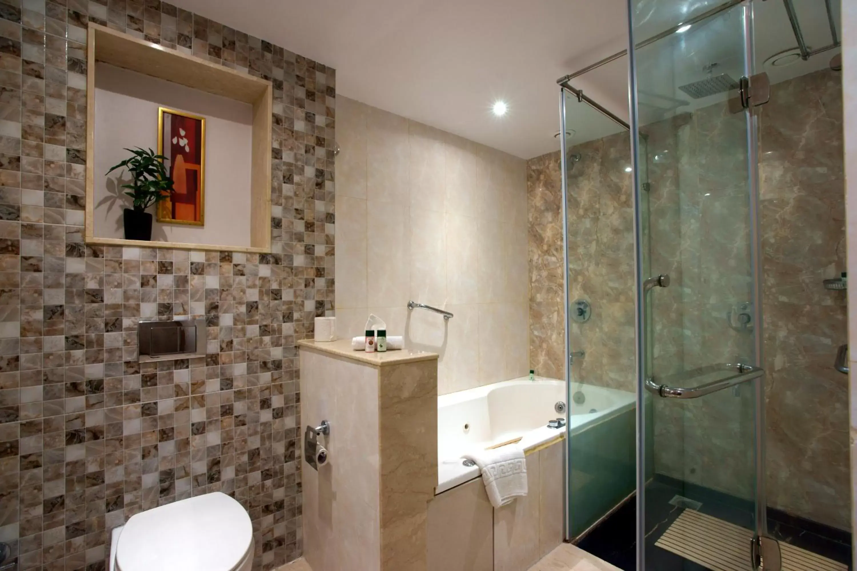 Bathroom in Daspalla Hyderabad