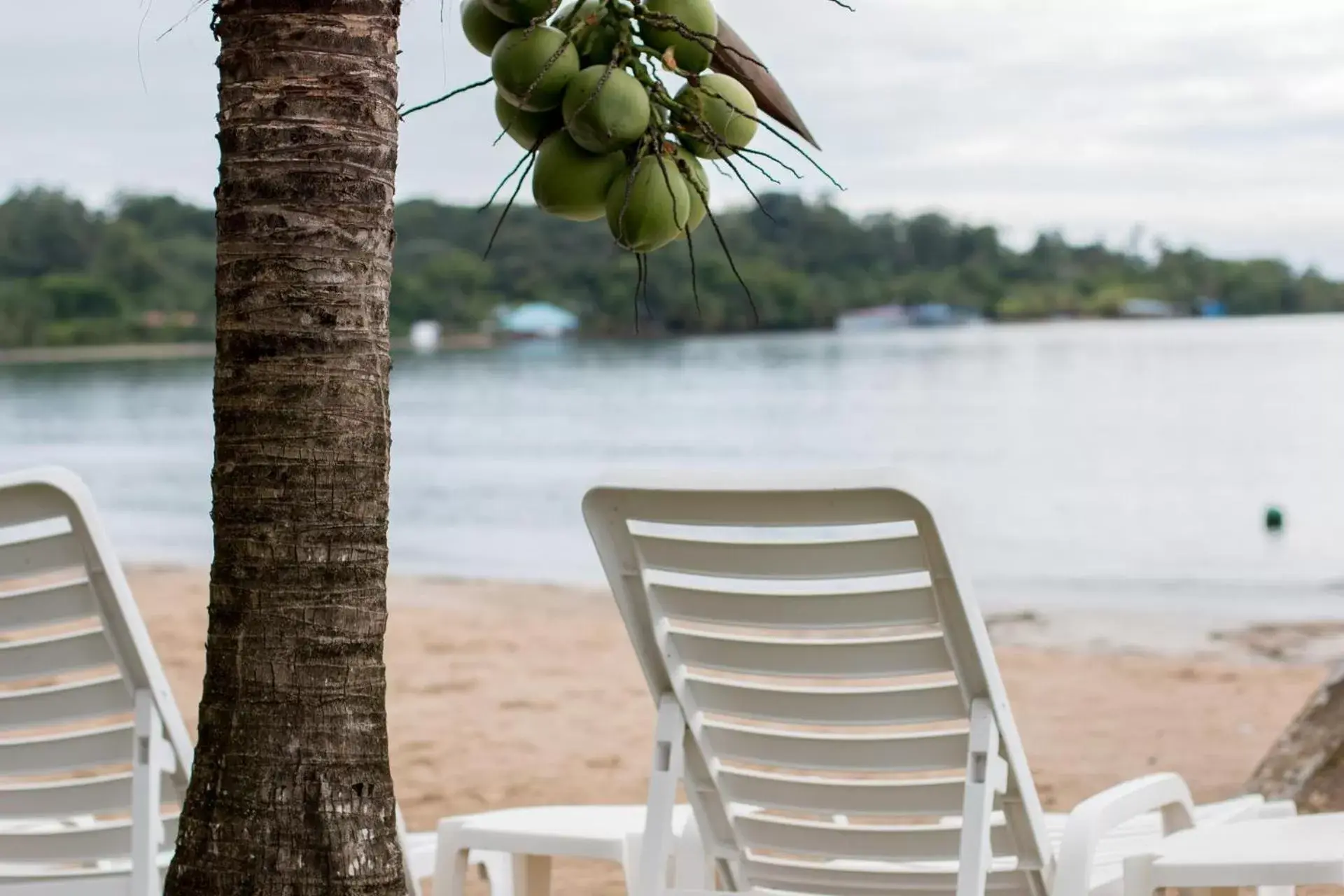 Playa Tortuga Hotel and Beach Resort