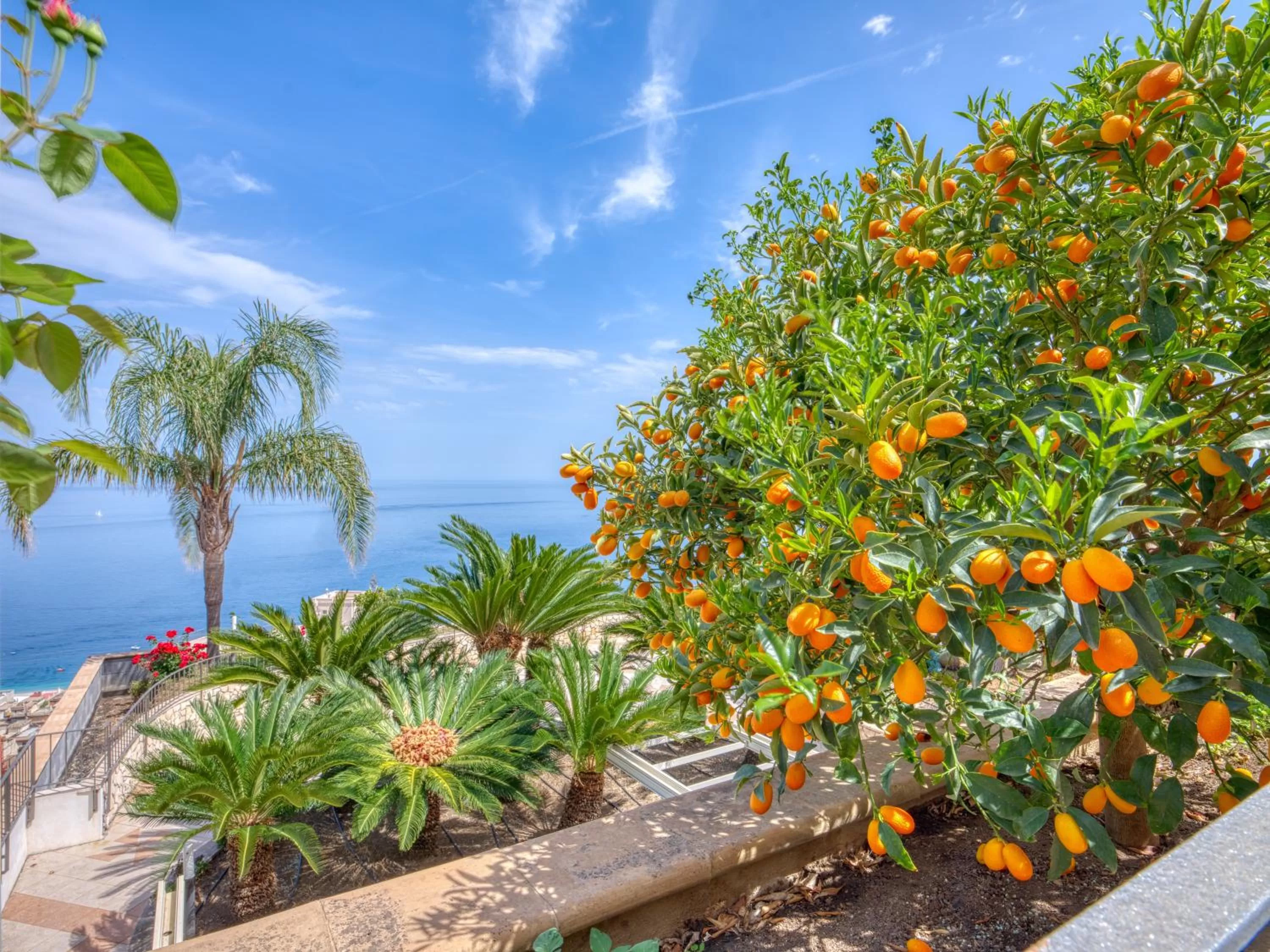 View (from property/room) in Hotel Antares