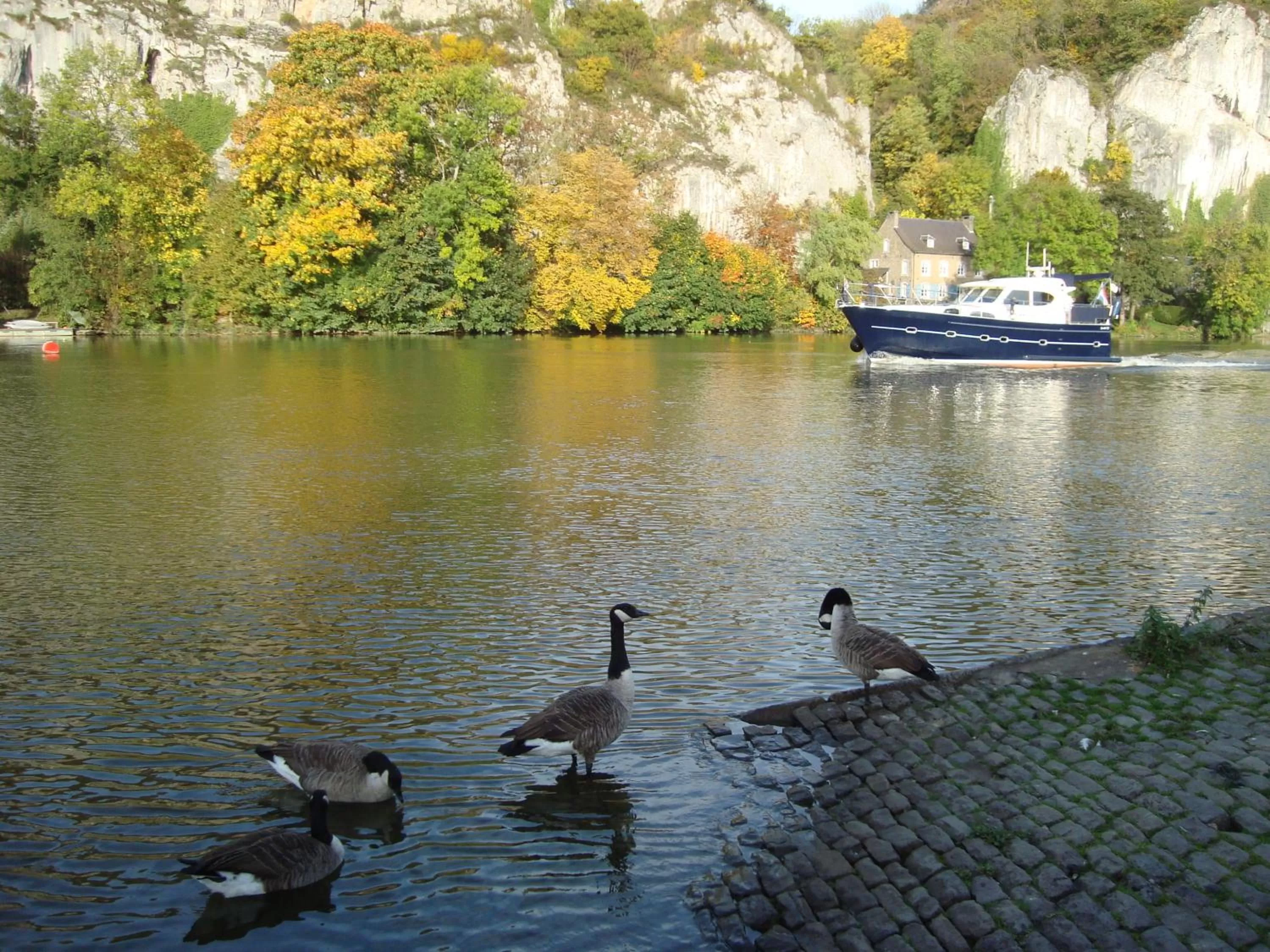 Other in B&B La Ruelle