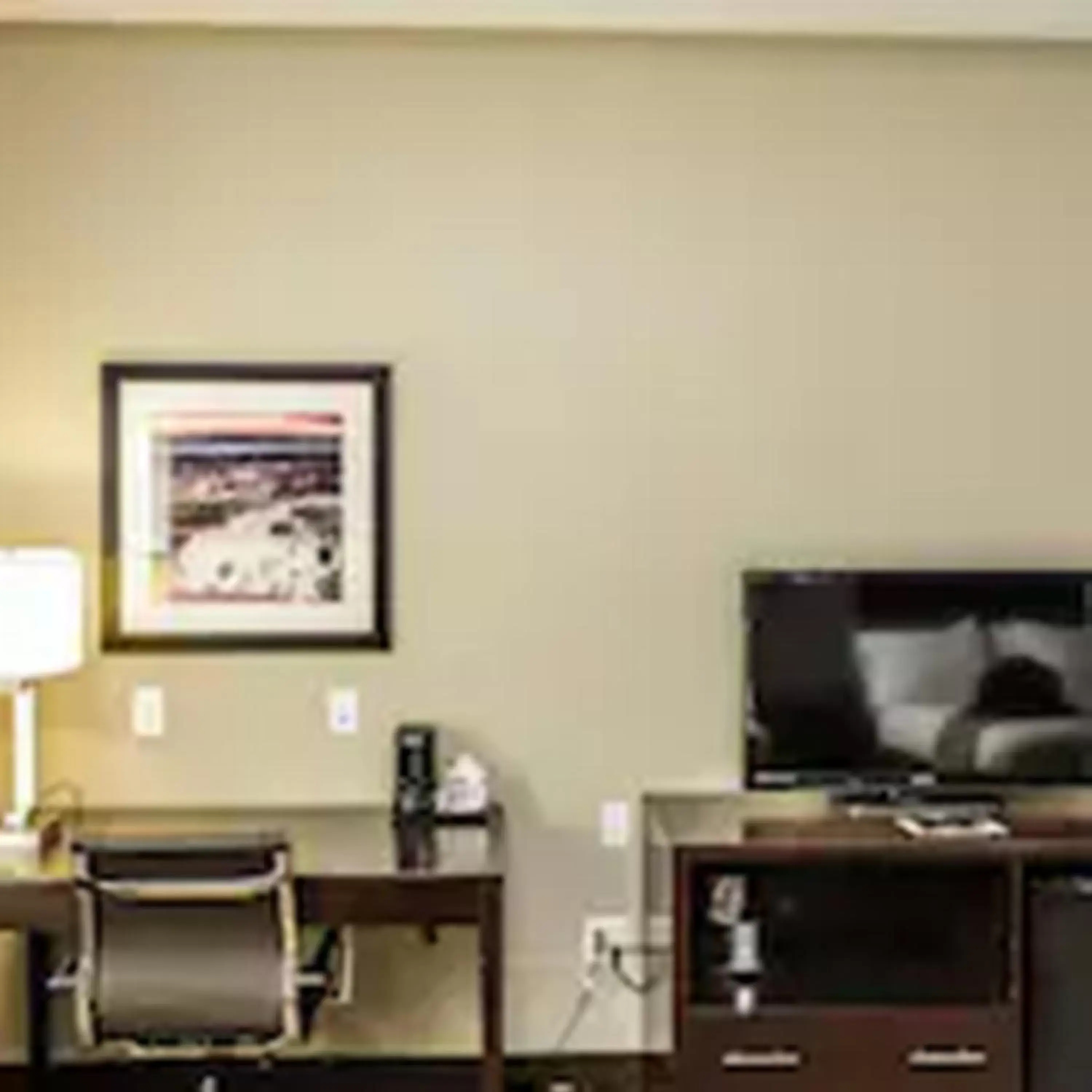 TV and multimedia, TV/Entertainment Center in Holiday Inn Express & Suites Cheektowaga North East, an IHG Hotel