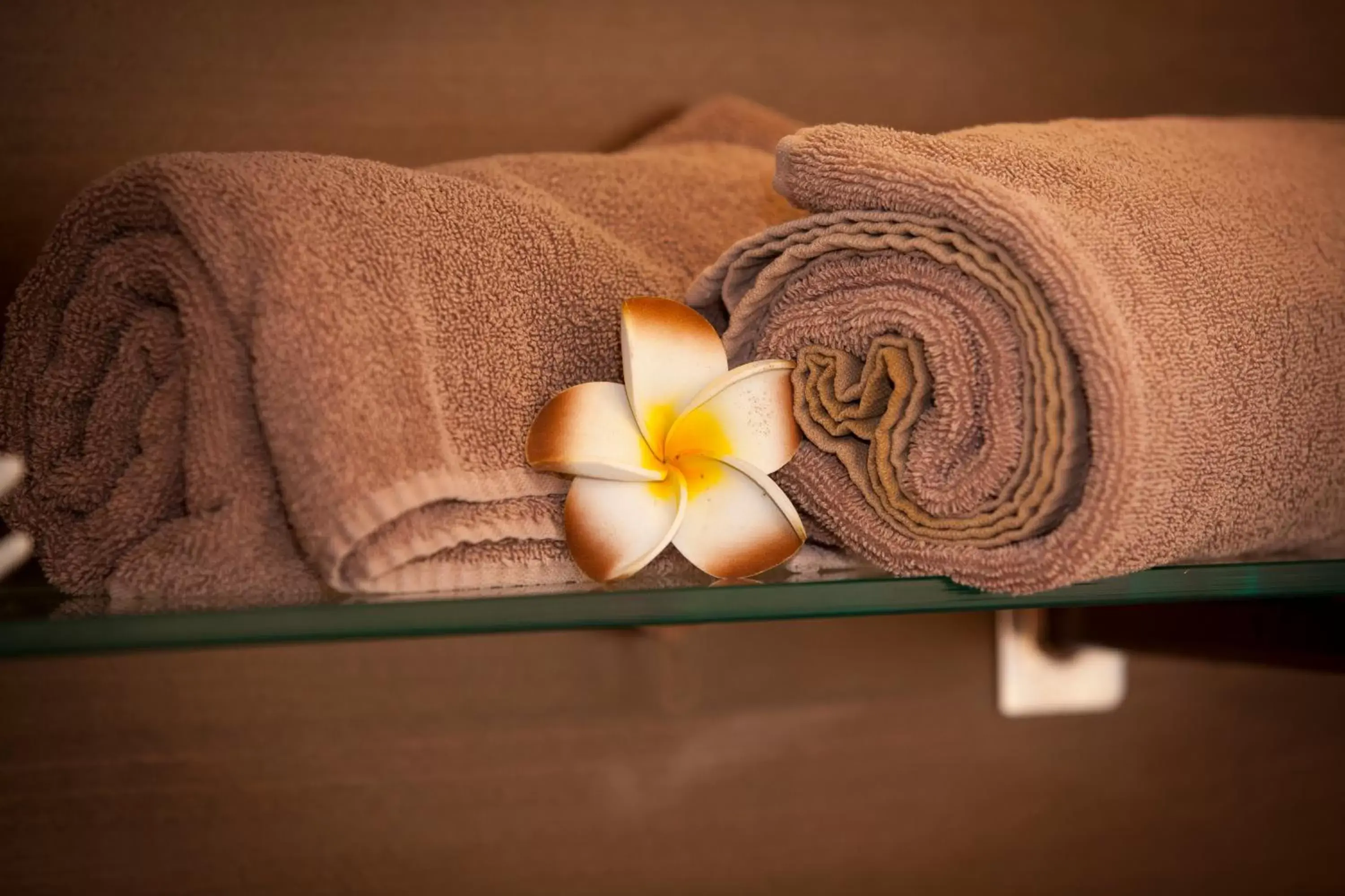 Spa and wellness centre/facilities, Bed in The Diplomat Hotel Restaurant & Spa