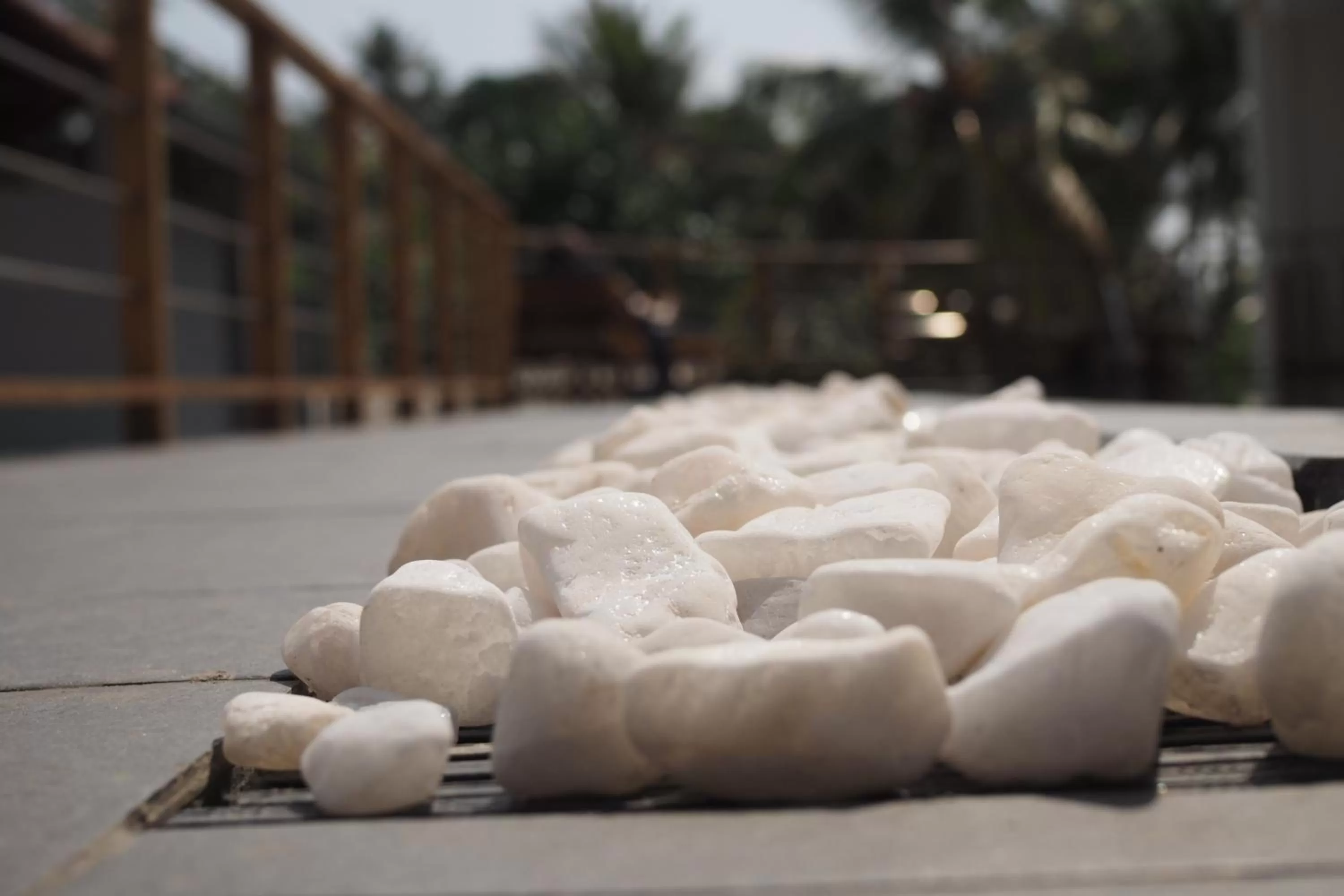 Swimming pool in The Seascape