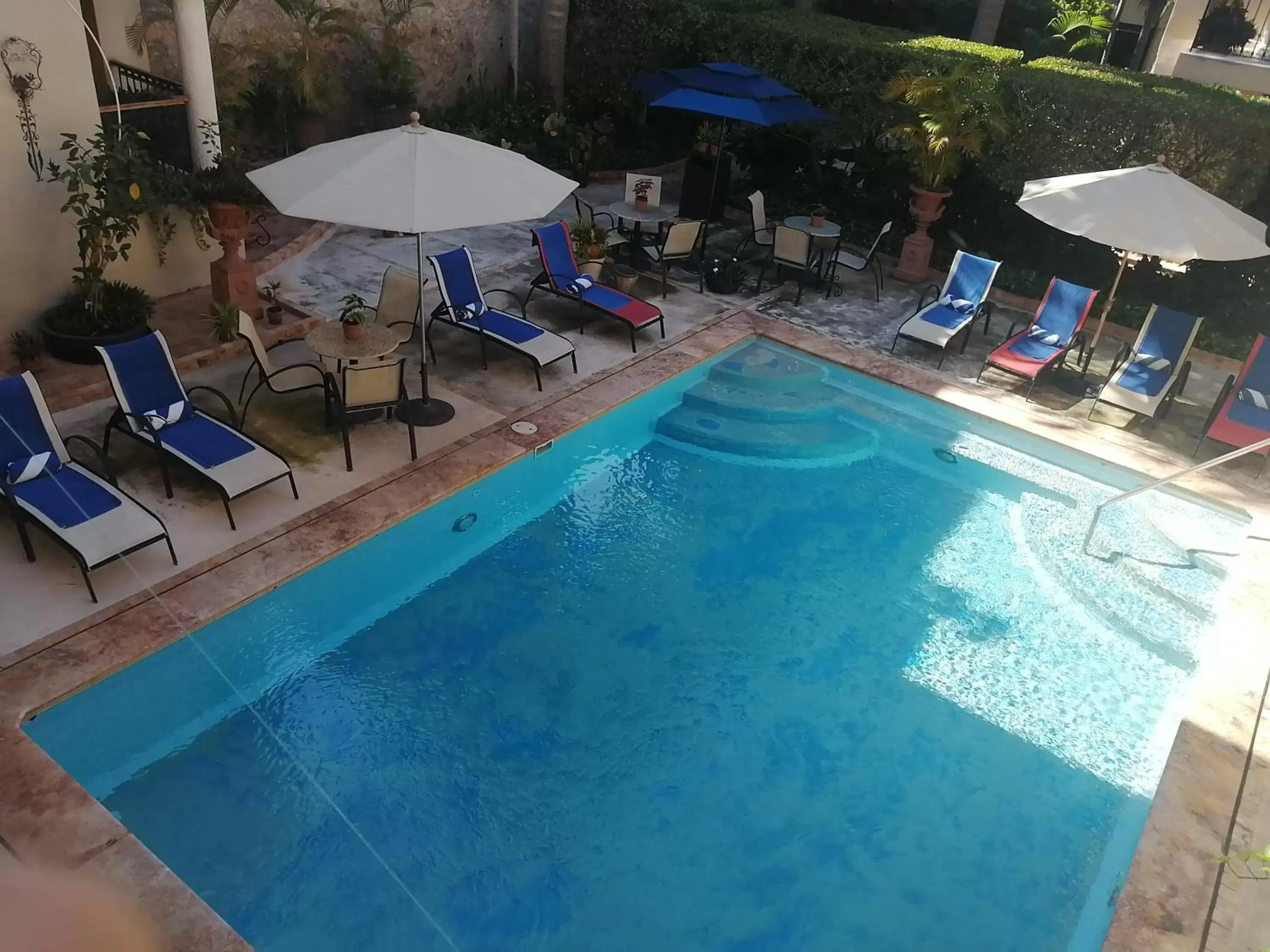 Swimming pool, Pool View in Mansión Mérida Boutique Hotel - Restaurant