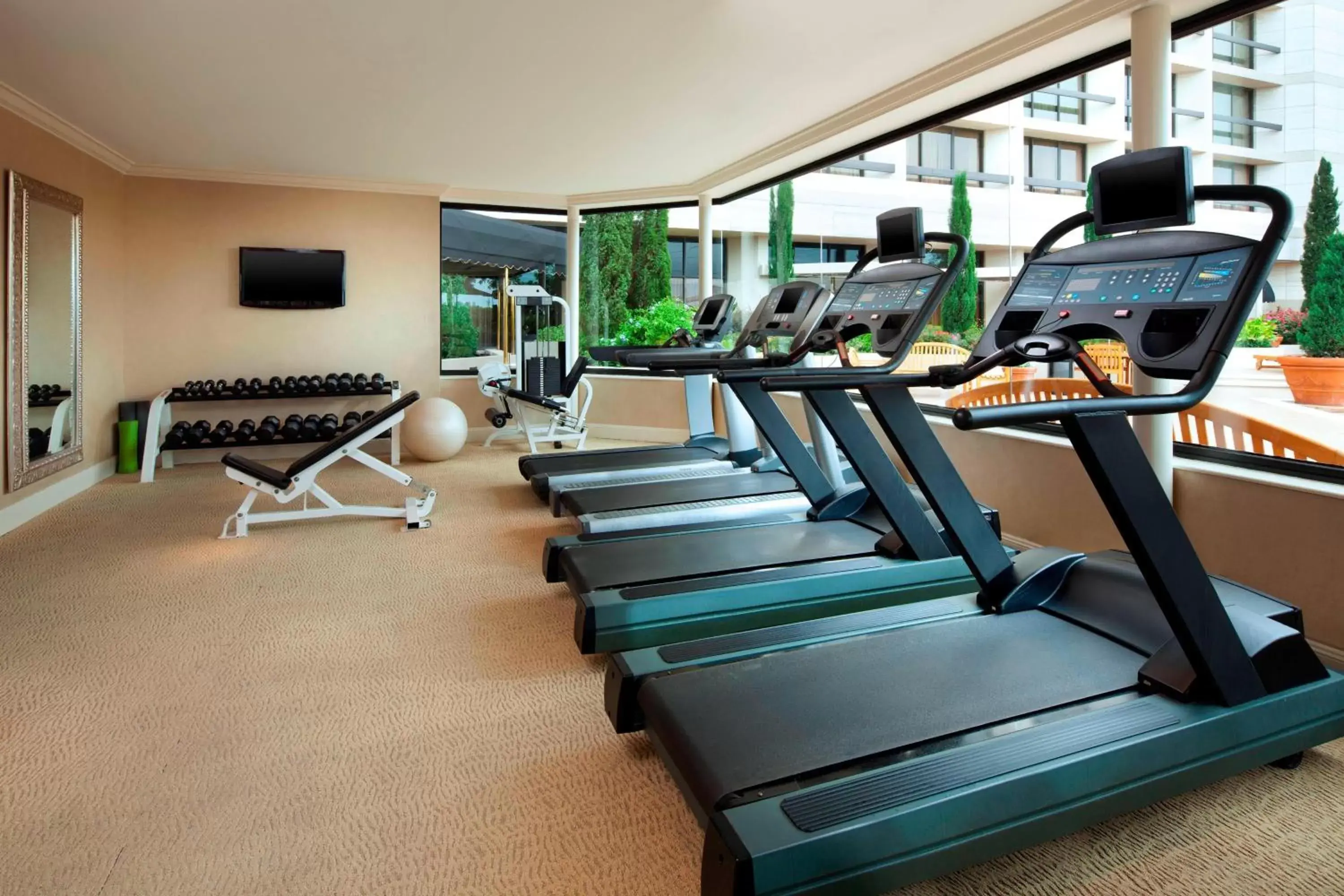 Fitness centre/facilities, Fitness Center/Facilities in The St. Regis Houston
