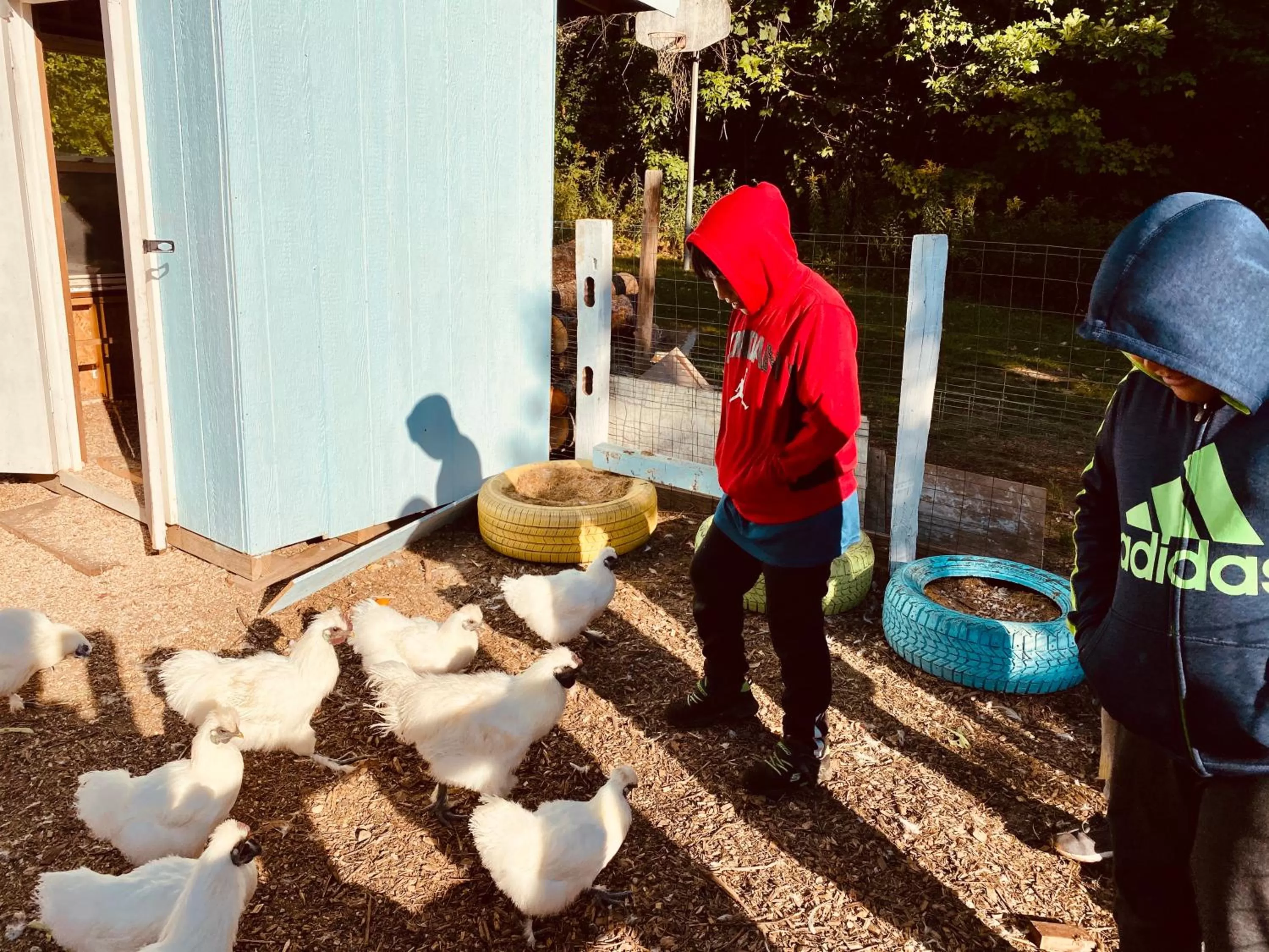 Arcady Mountain Motor Lodge