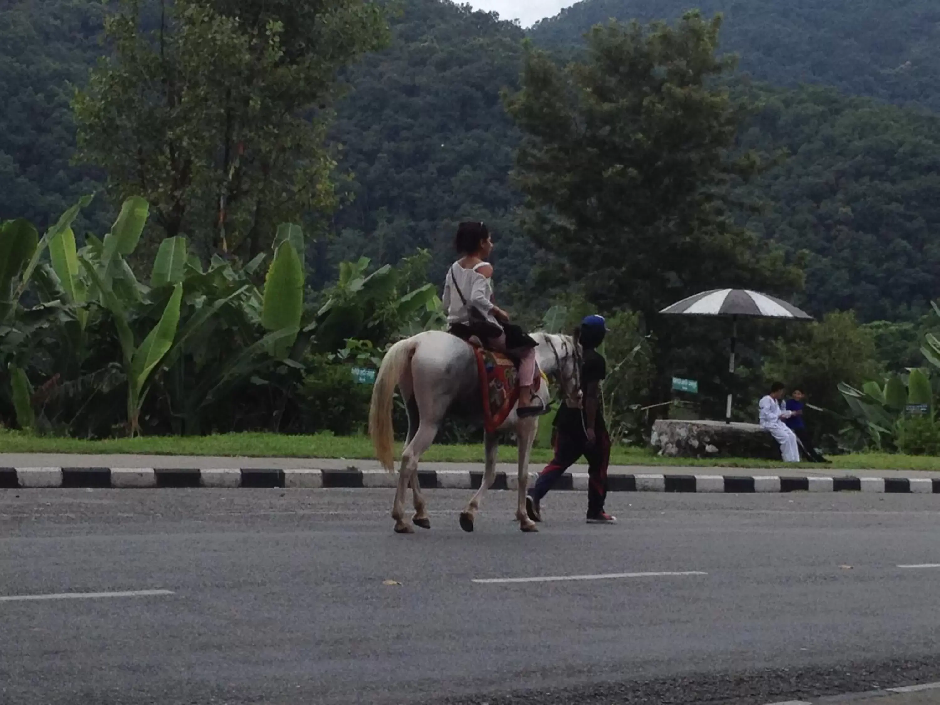 Horse-riding, Horseback Riding in New Pokhara Lodge - Lakeside, Pokhara Nepal