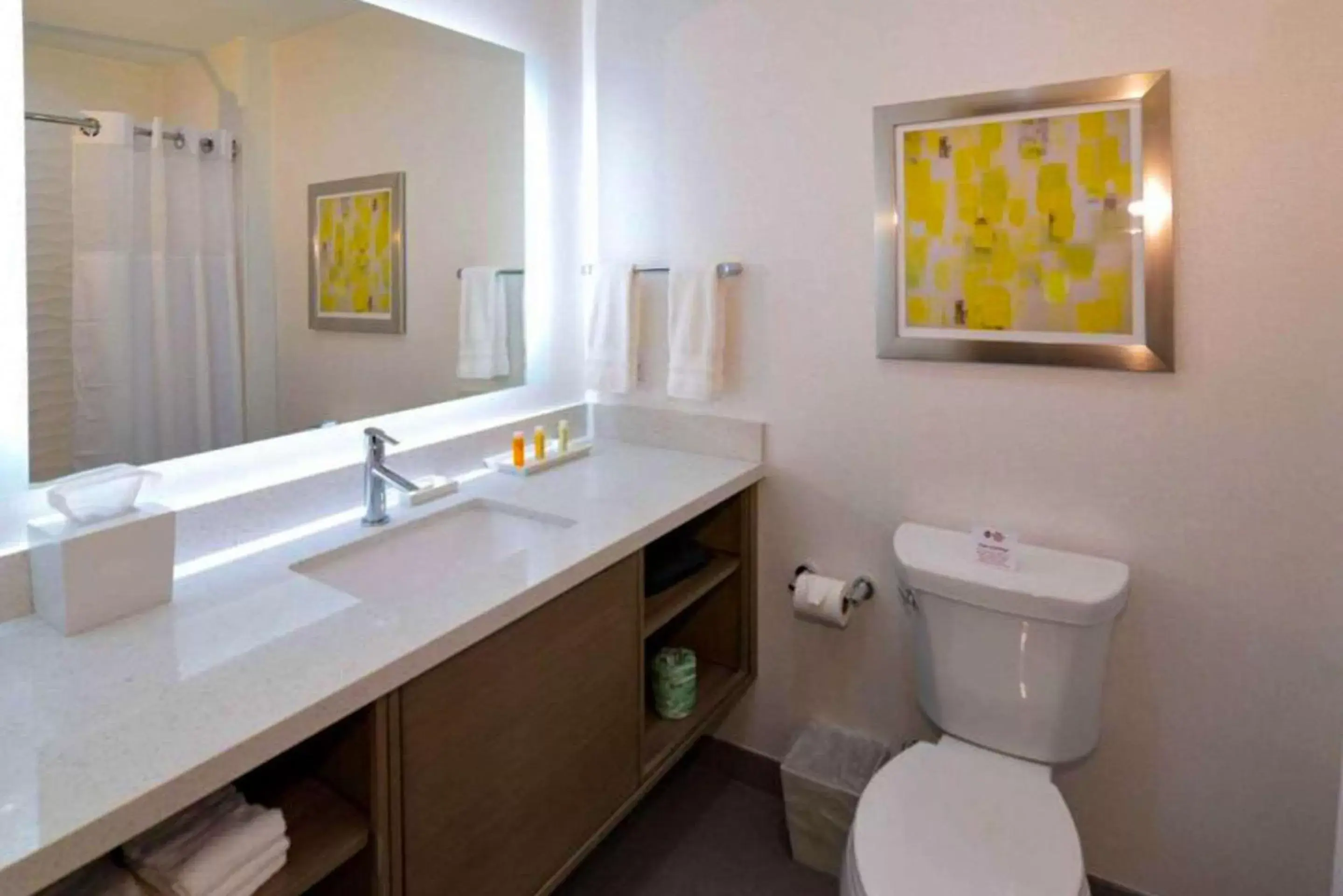 Bathroom in Comfort Inn & Suites Houston I-45 North - IAH
