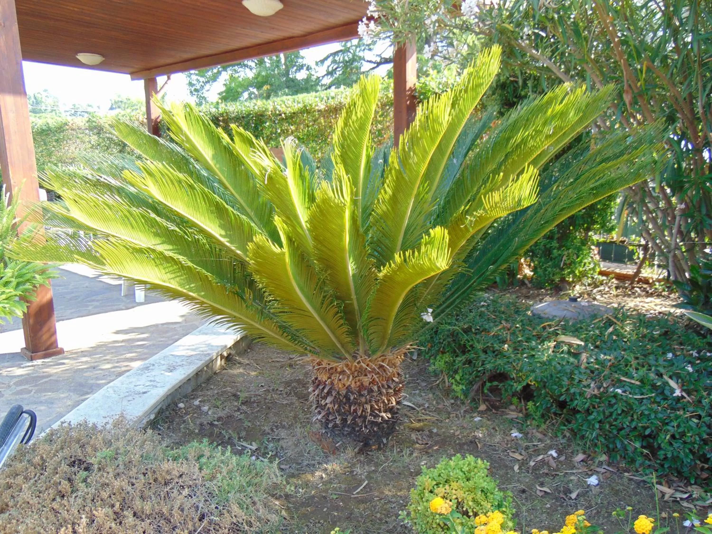 Property building in Villa Celeste B&B