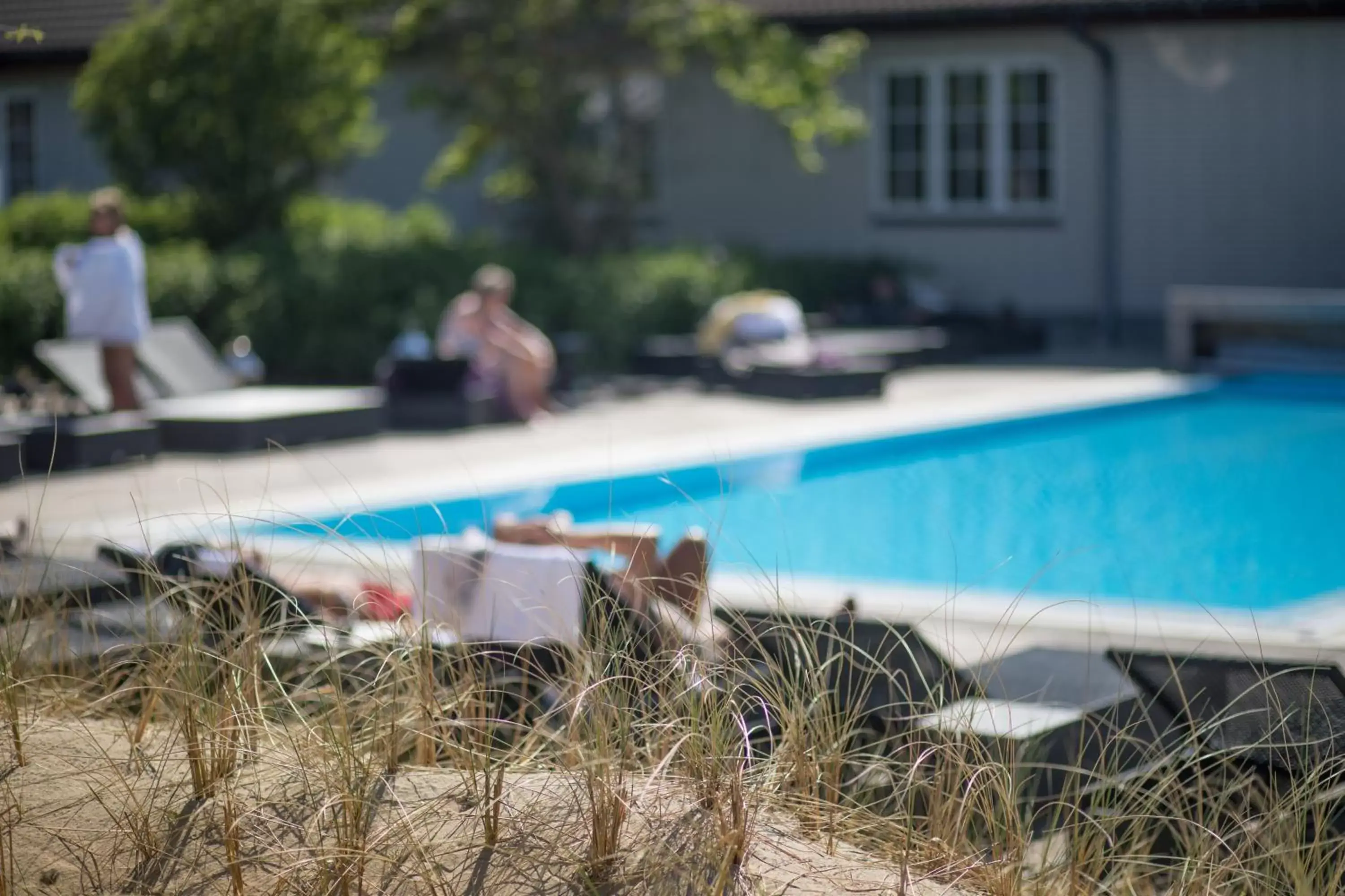 Summer, Swimming Pool in Color Hotel Skagen