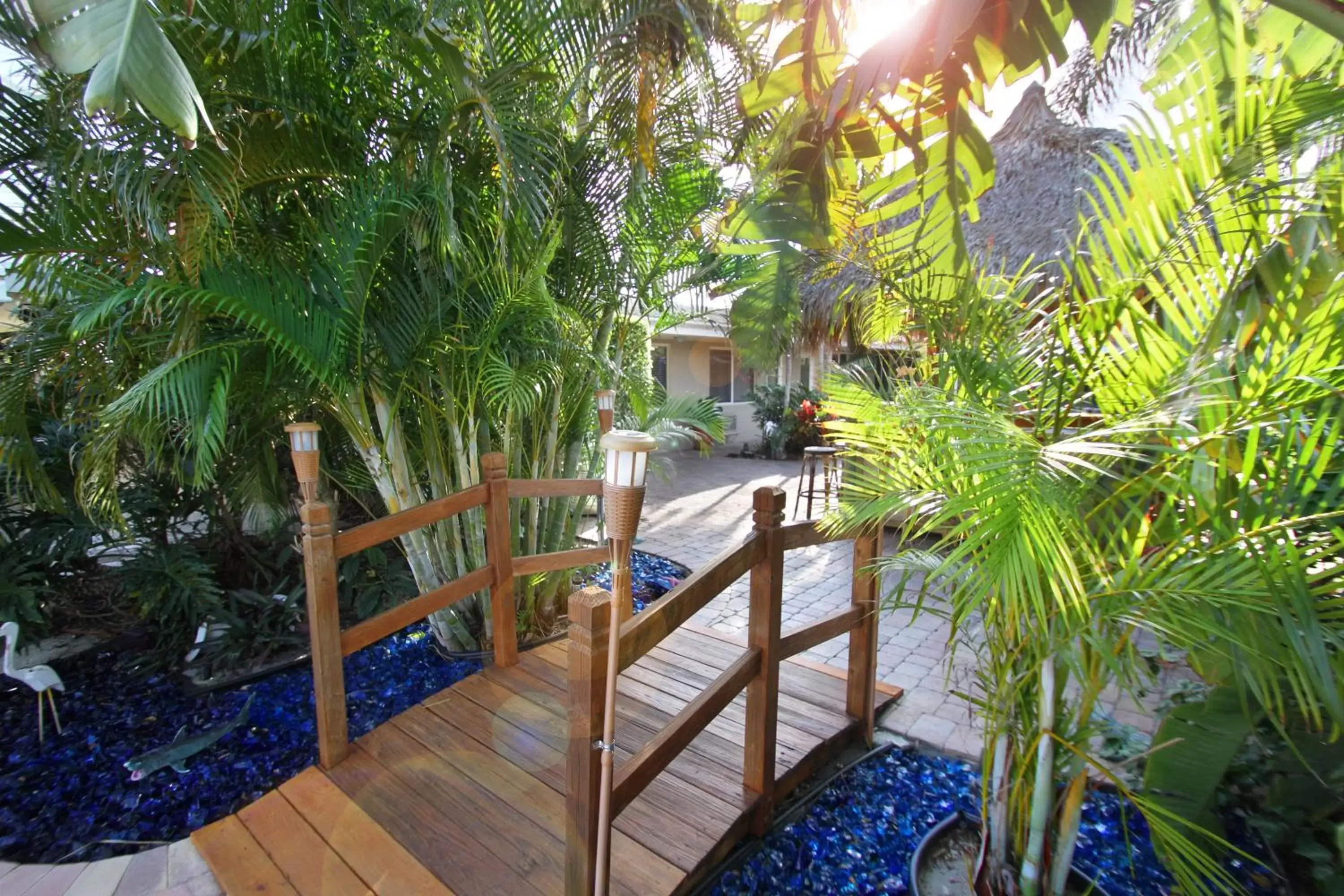 Garden, Pool View in Casitas Coral Ridge