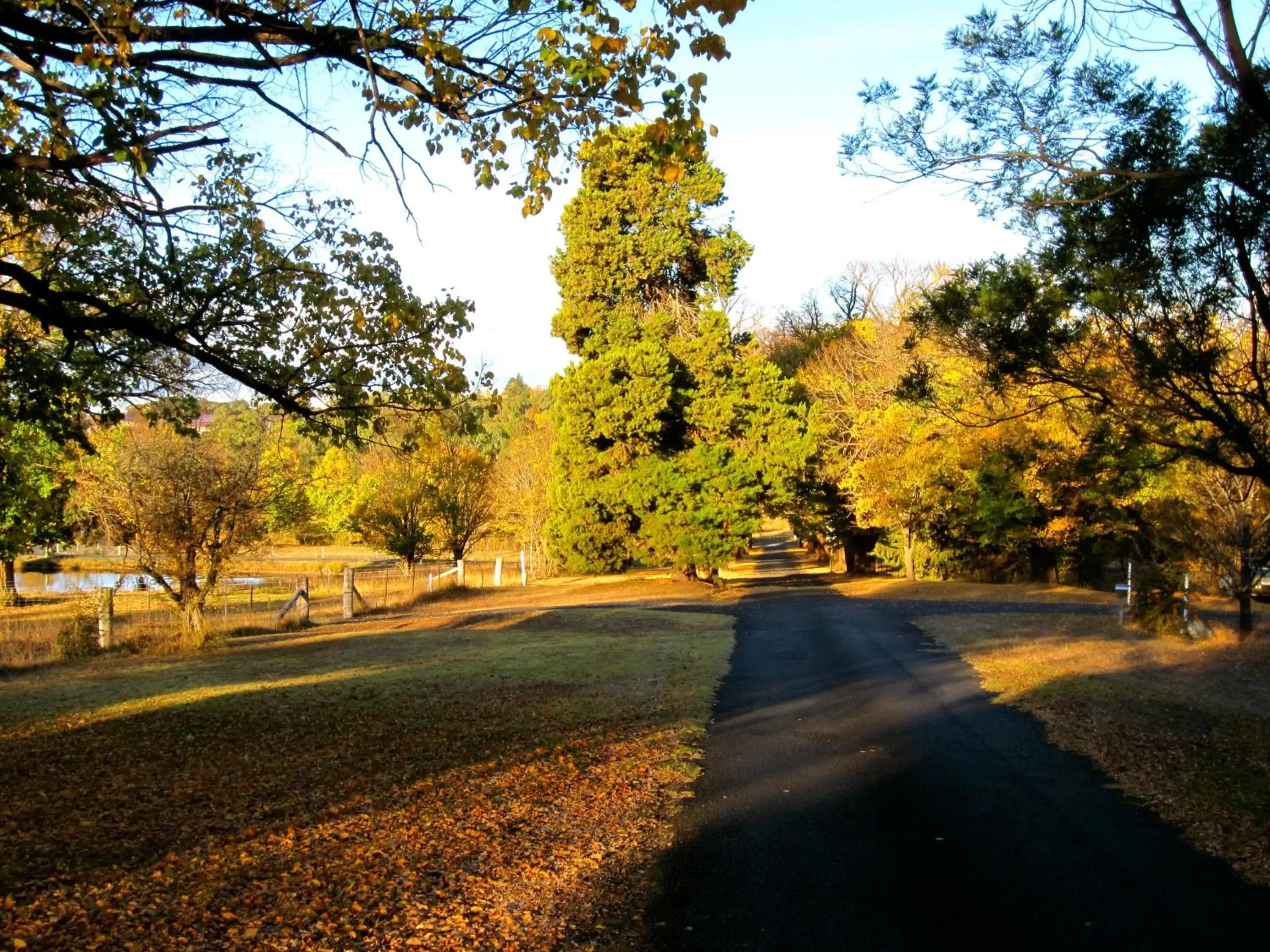 Area and facilities, Garden in Moore Park Inn