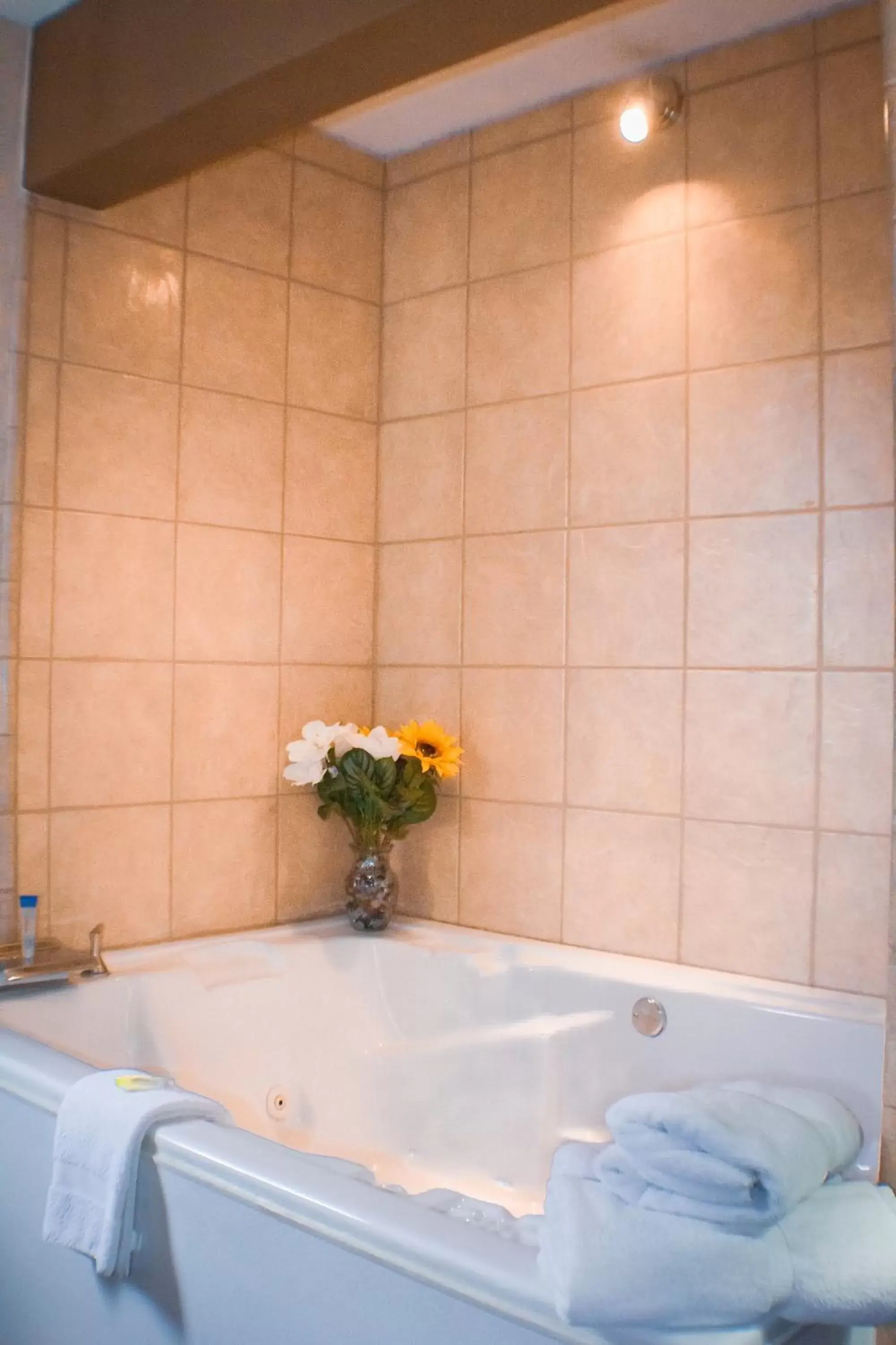 Hot Tub, Bathroom in Victorian Inn & Suites-York