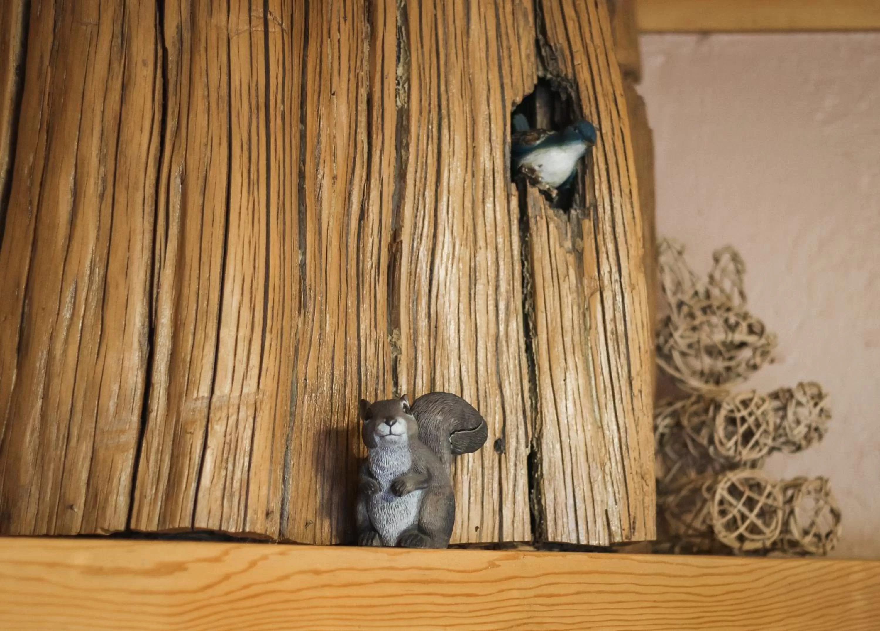 Heavenly Valley Lodge