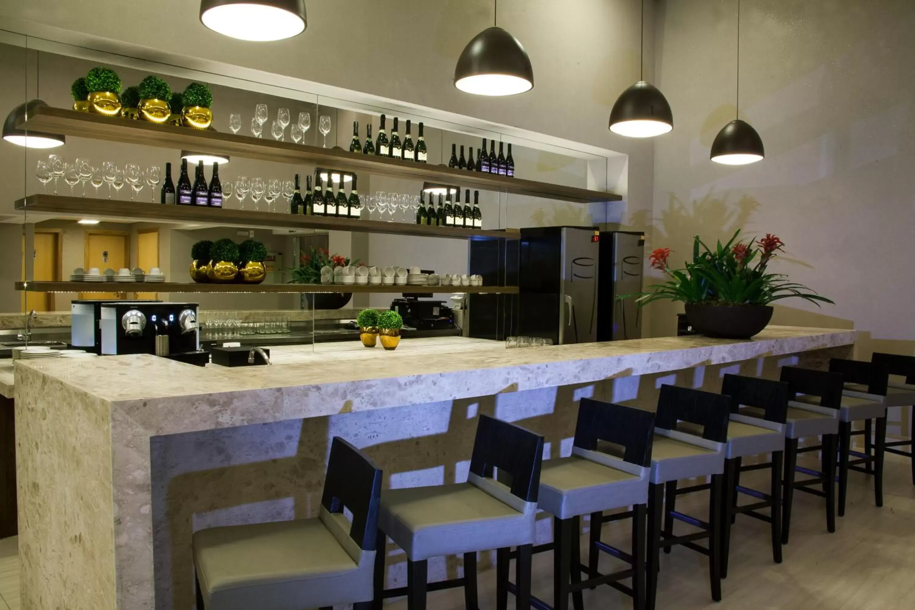 Lounge or bar, Lounge/Bar in BH Raja Hotel