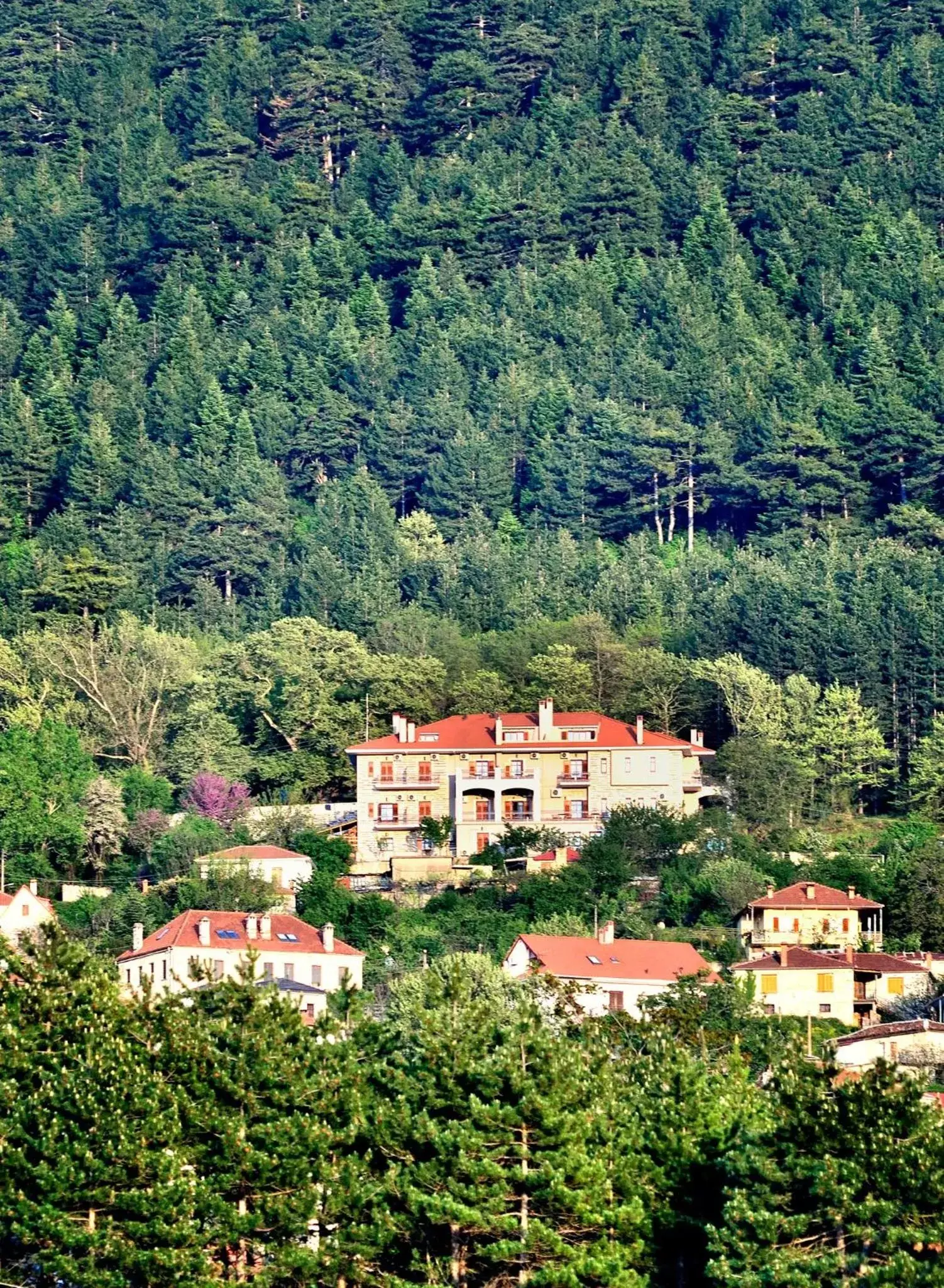 Bird's eye view, Bird's-eye View in Konitsa Mountain Hotel