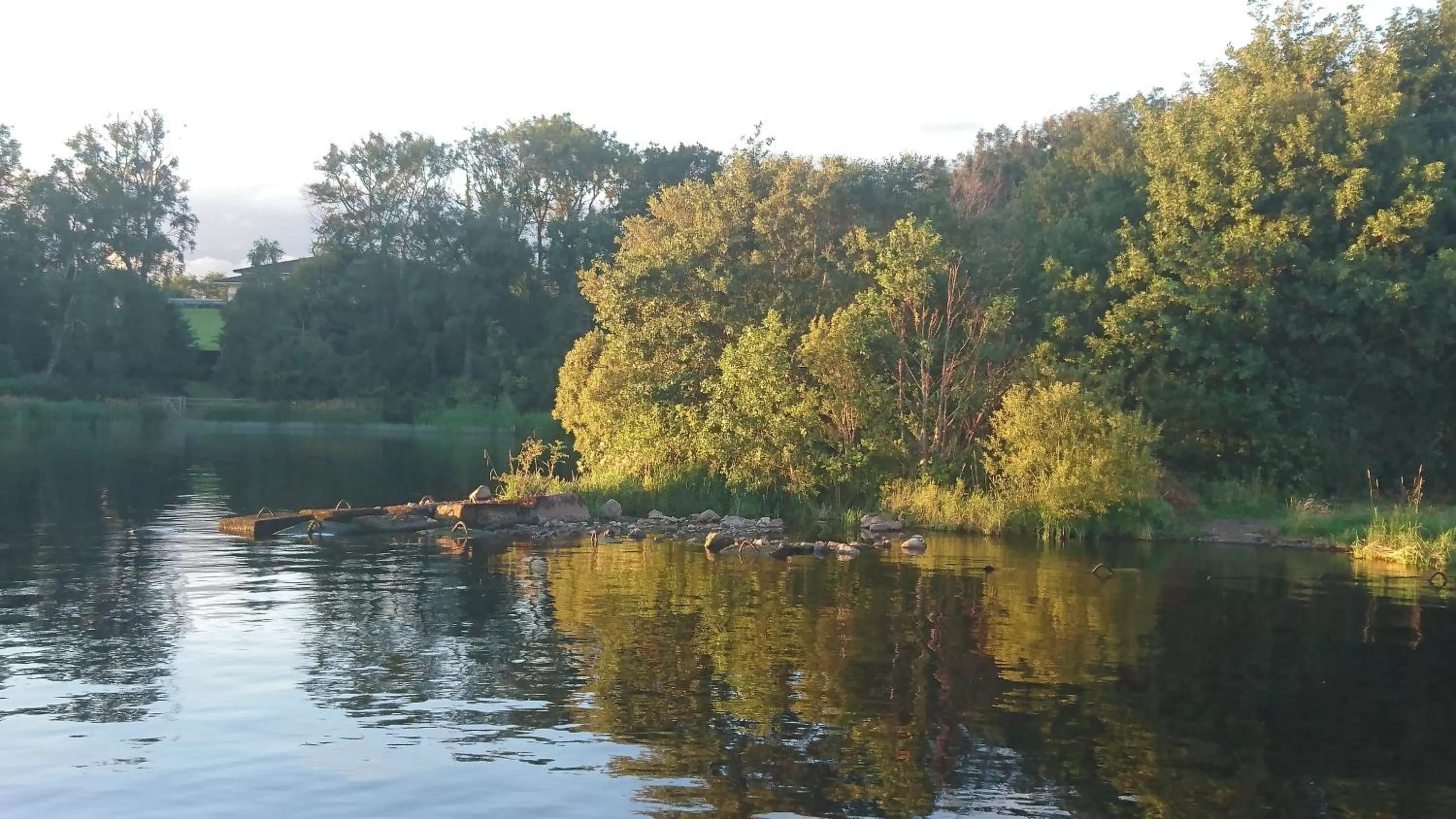 Natural landscape in Rossclare Lodge