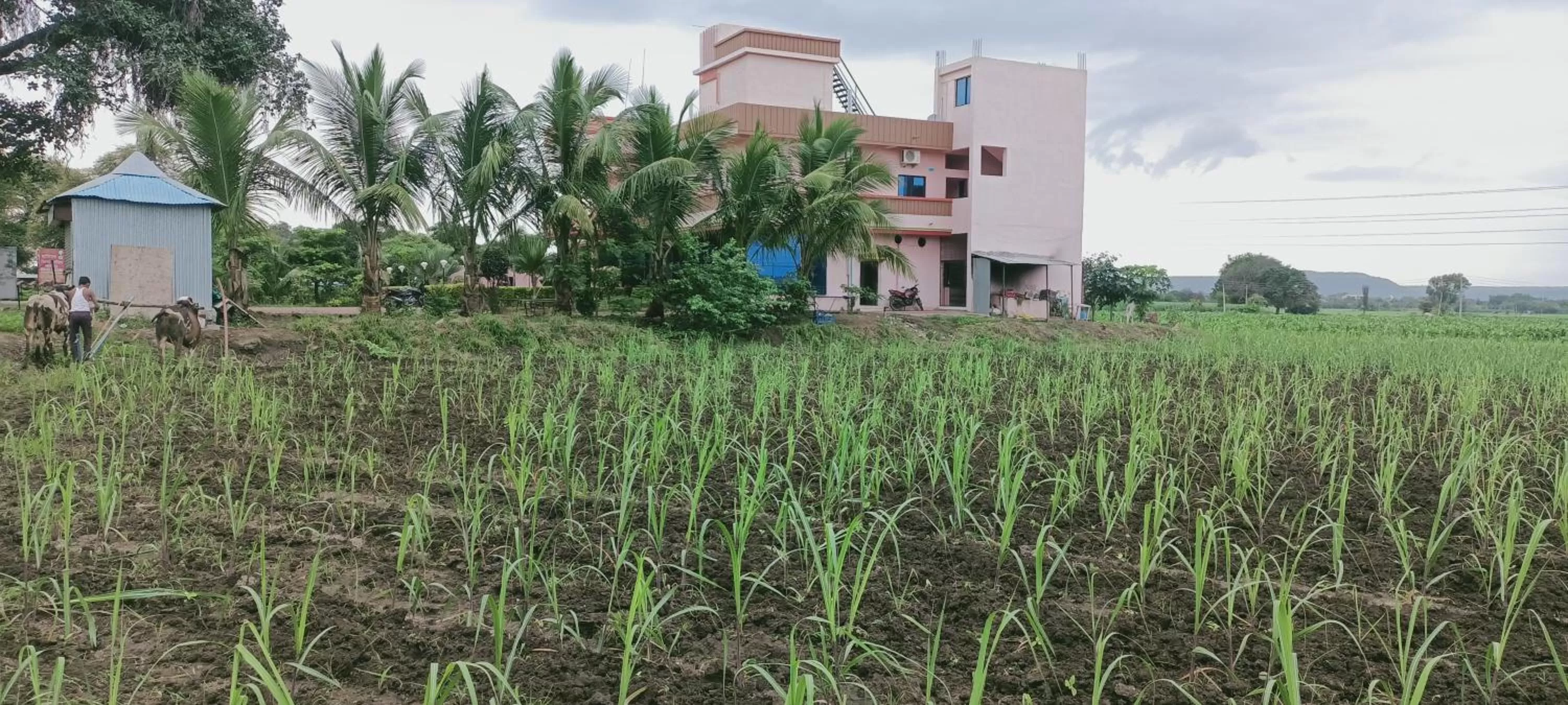 Hotel Nisarg Lodging And Restaurant