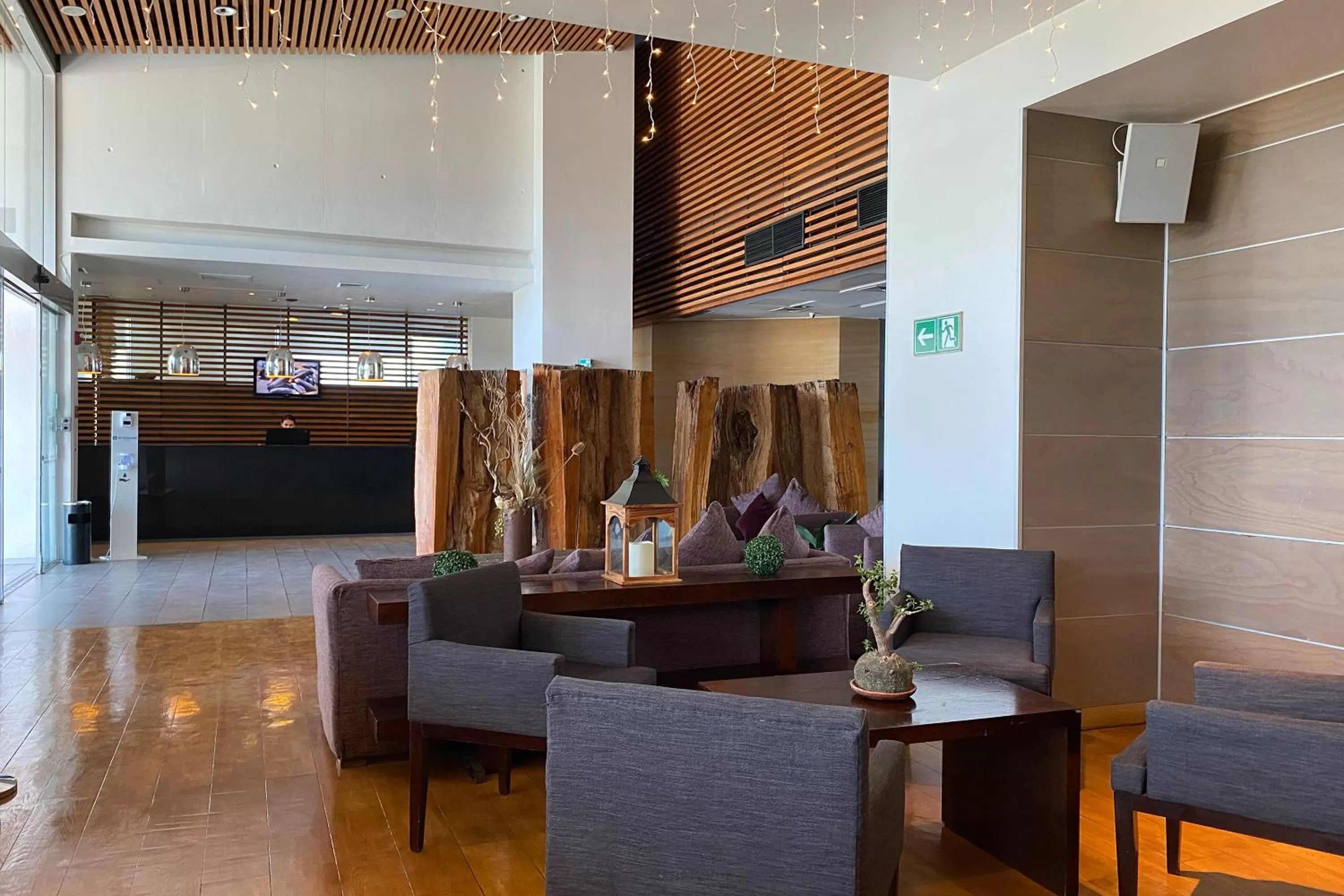 Living room in Wyndham Concepcion Pettra