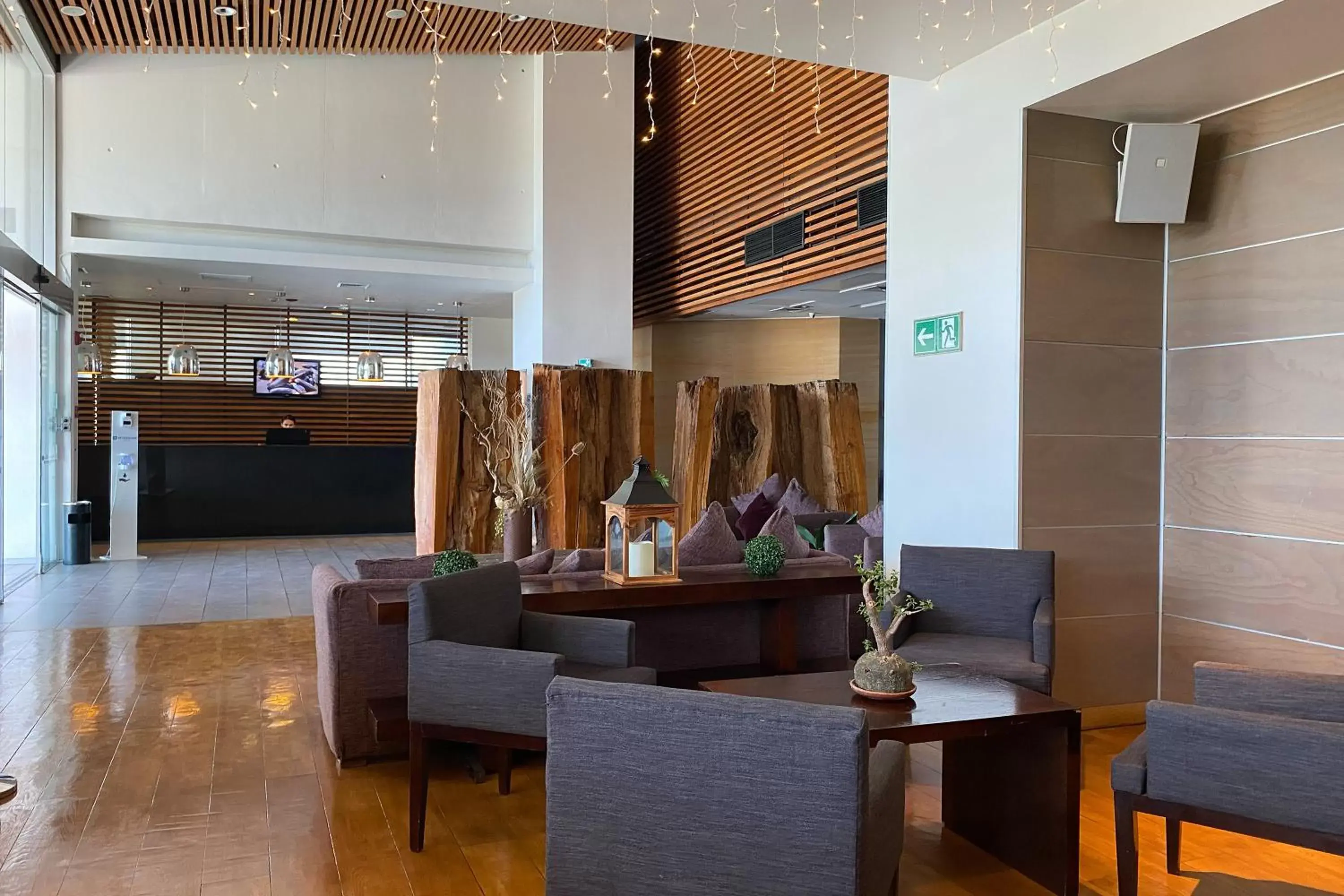 Living room, Lobby/Reception in Wyndham Concepcion Pettra