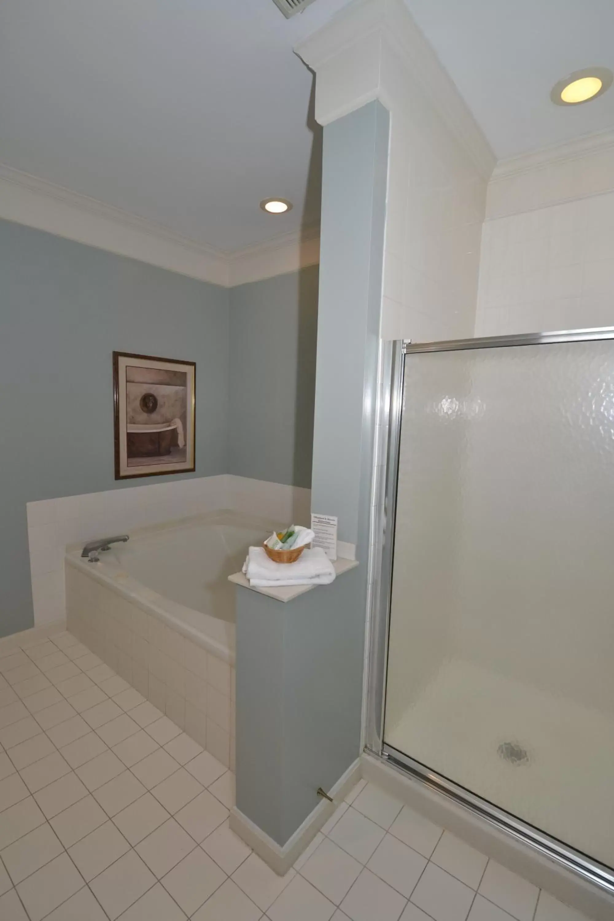Shower, Bathroom in Century Suites Hotel