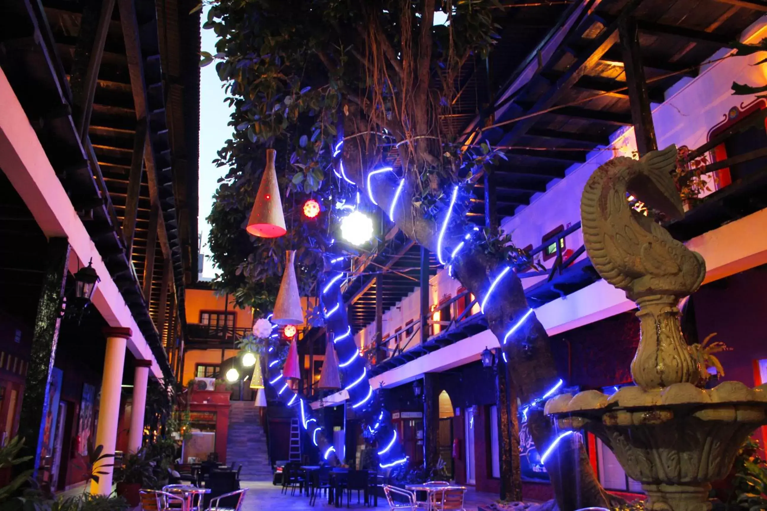 Patio, Evening Entertainment in Hotel La Siesta