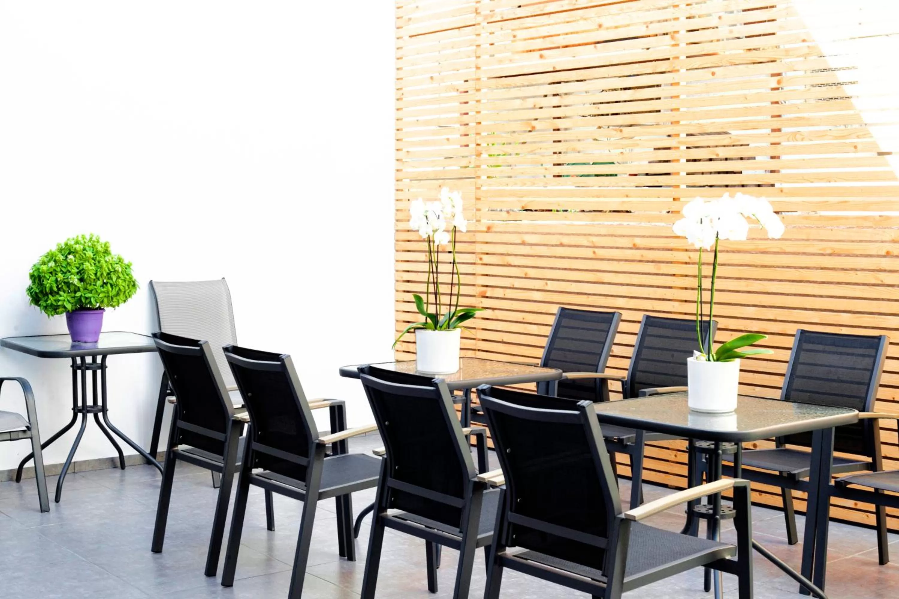 Lobby or reception in Atlas Skiathos