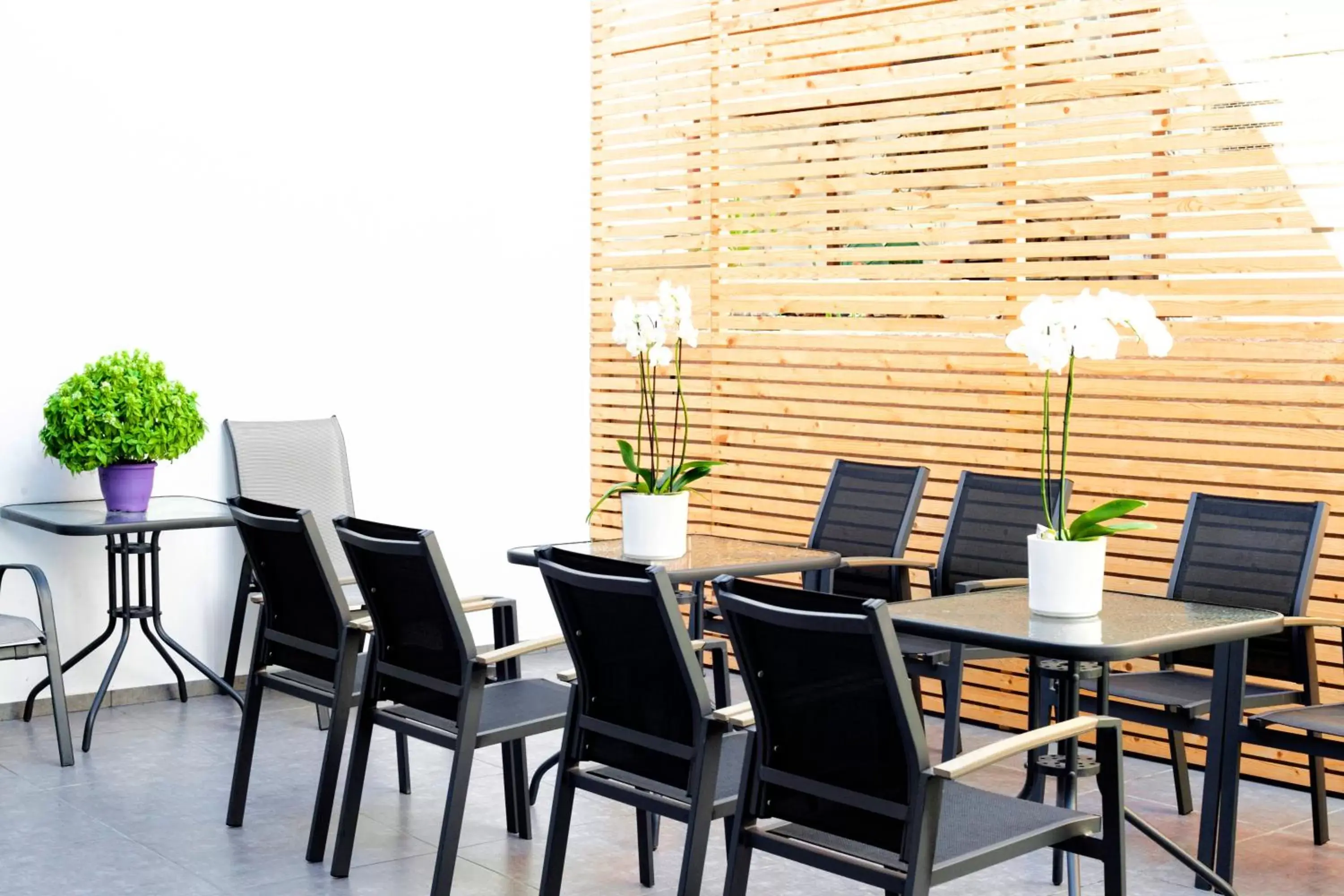 Lobby or reception in Atlas Skiathos Lobby or reception in Atlas Skiathos