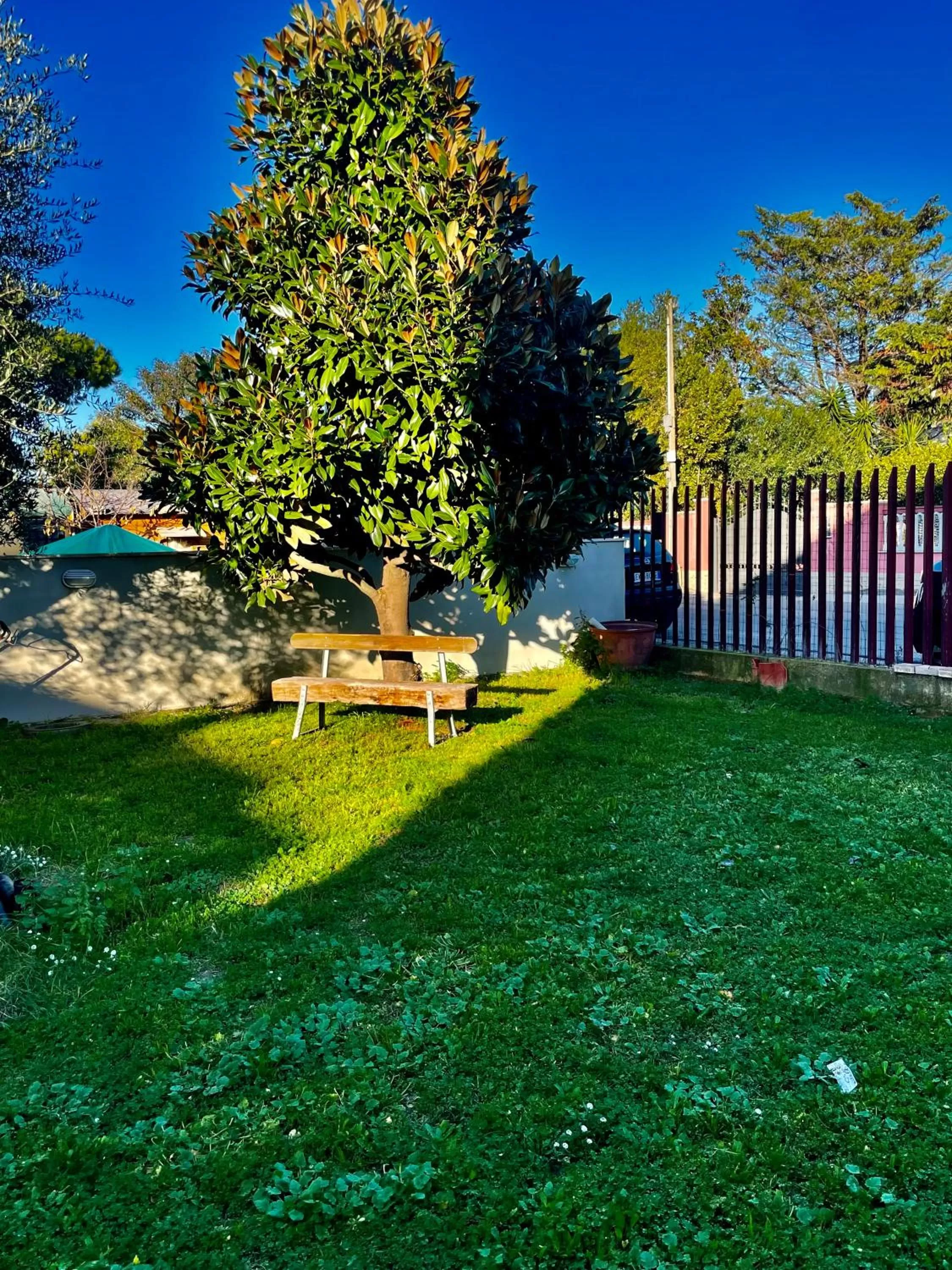 Property building, Garden in Il CASALETTO di Laura