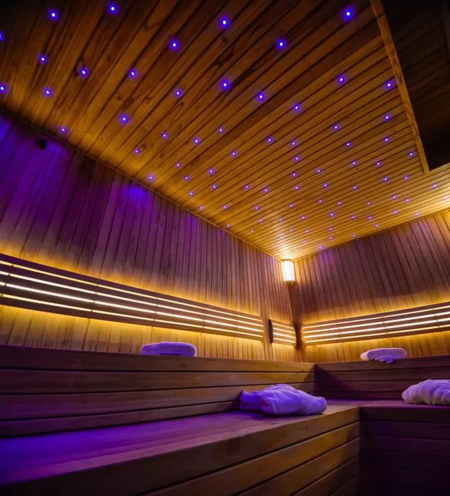 Sauna in La Recova Hotel & Spa