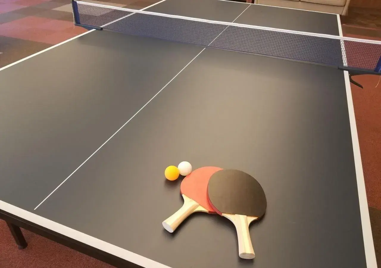 Area and facilities, Table Tennis in Hakodate Hotel Banso