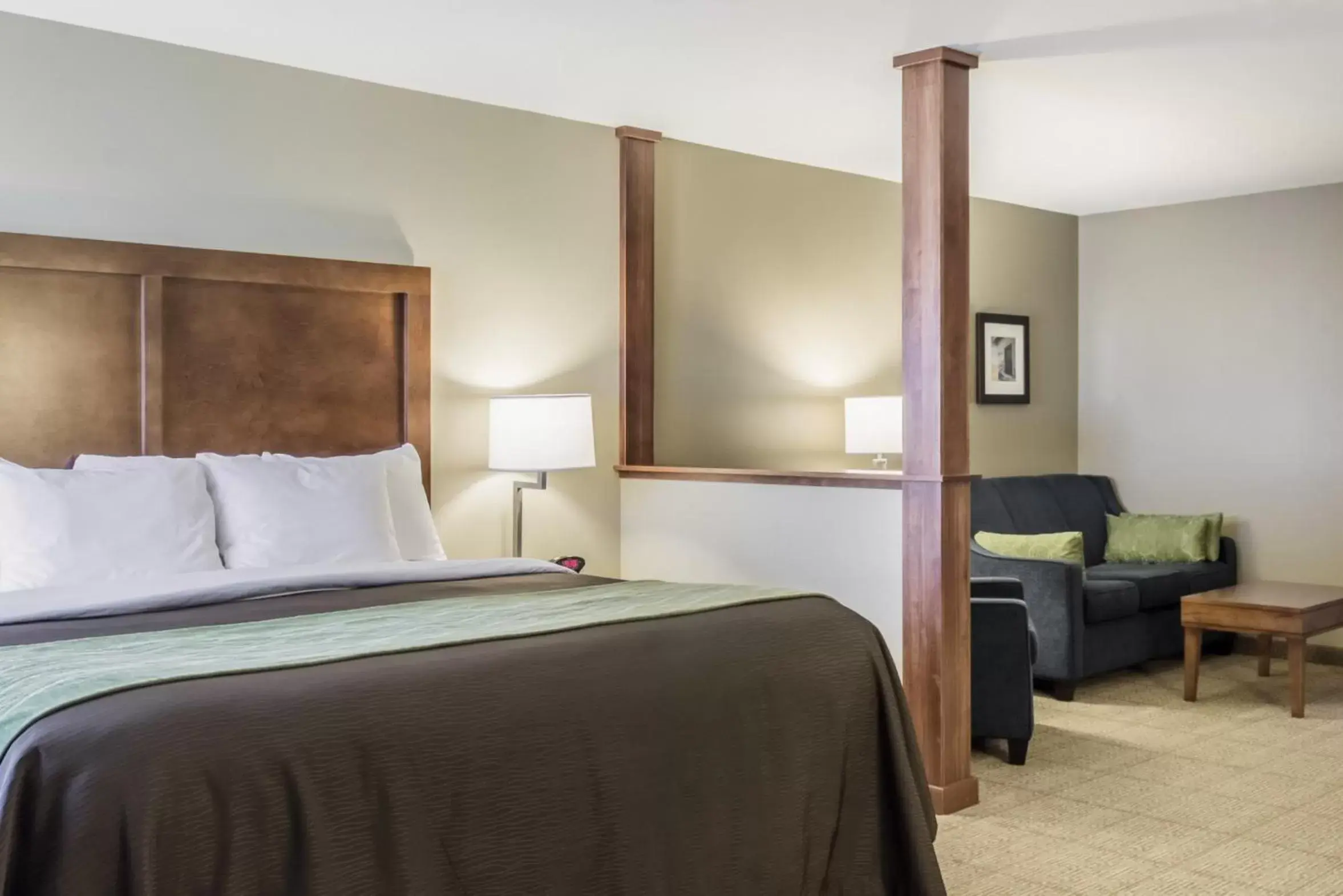 Living room, Bed in Comfort Inn & Suites Avera Southwest
