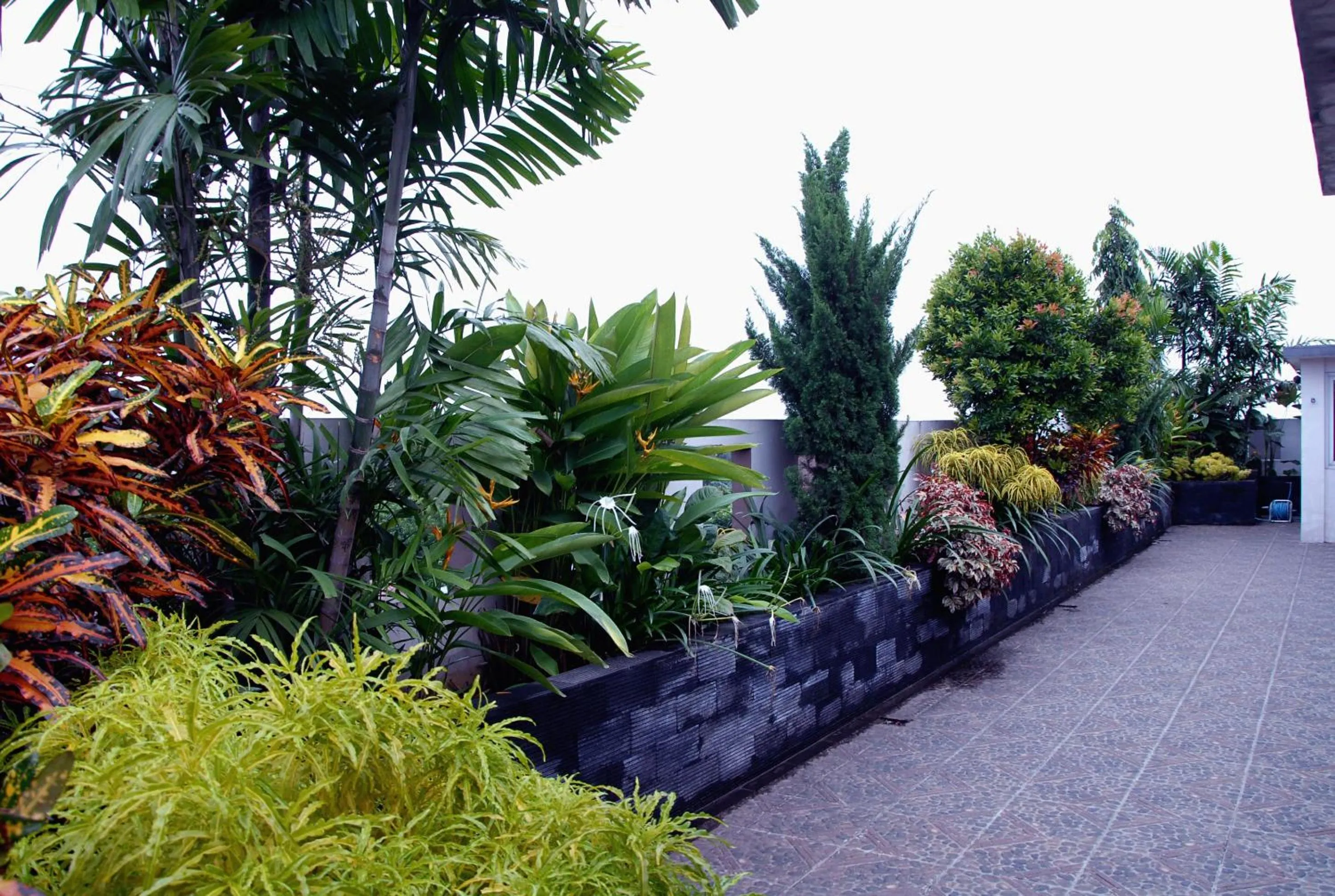 Garden in Grand Kasira