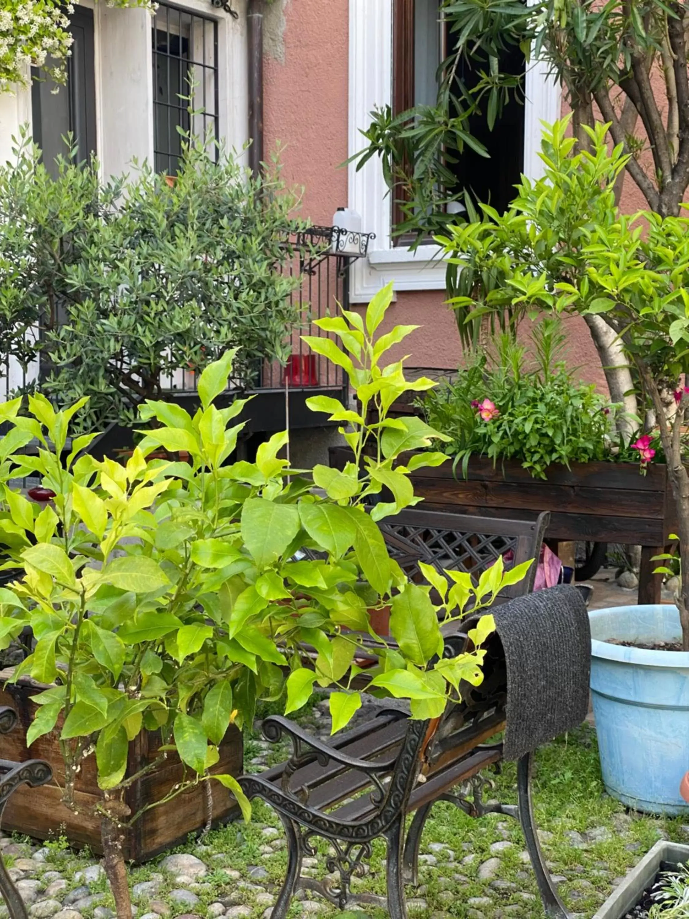 View (from property/room), Garden in Antica Corte Milanese