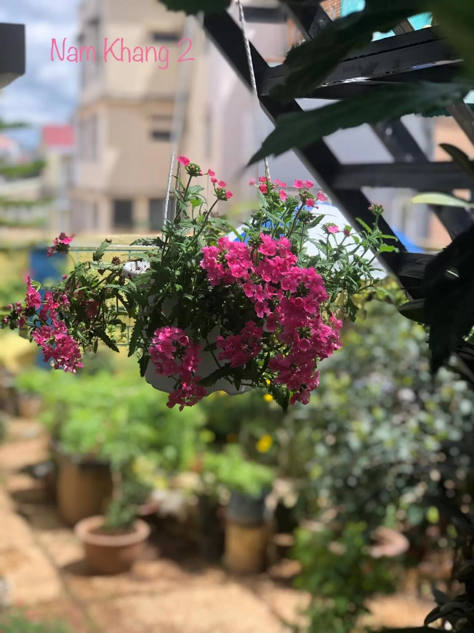 Garden in Villa - Hotel Nam Khang 2 Dalat