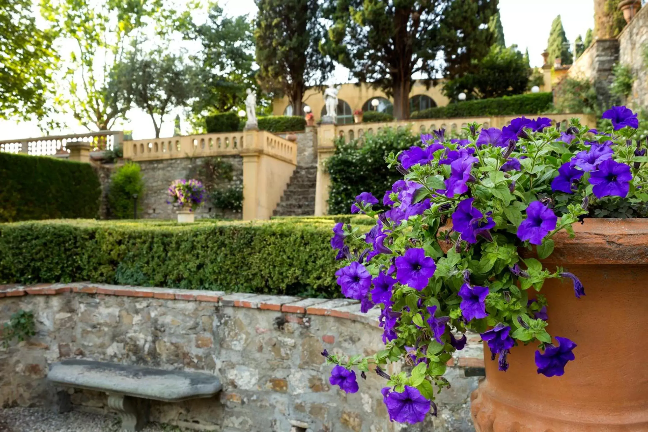 Garden in Art Hotel Villa Agape