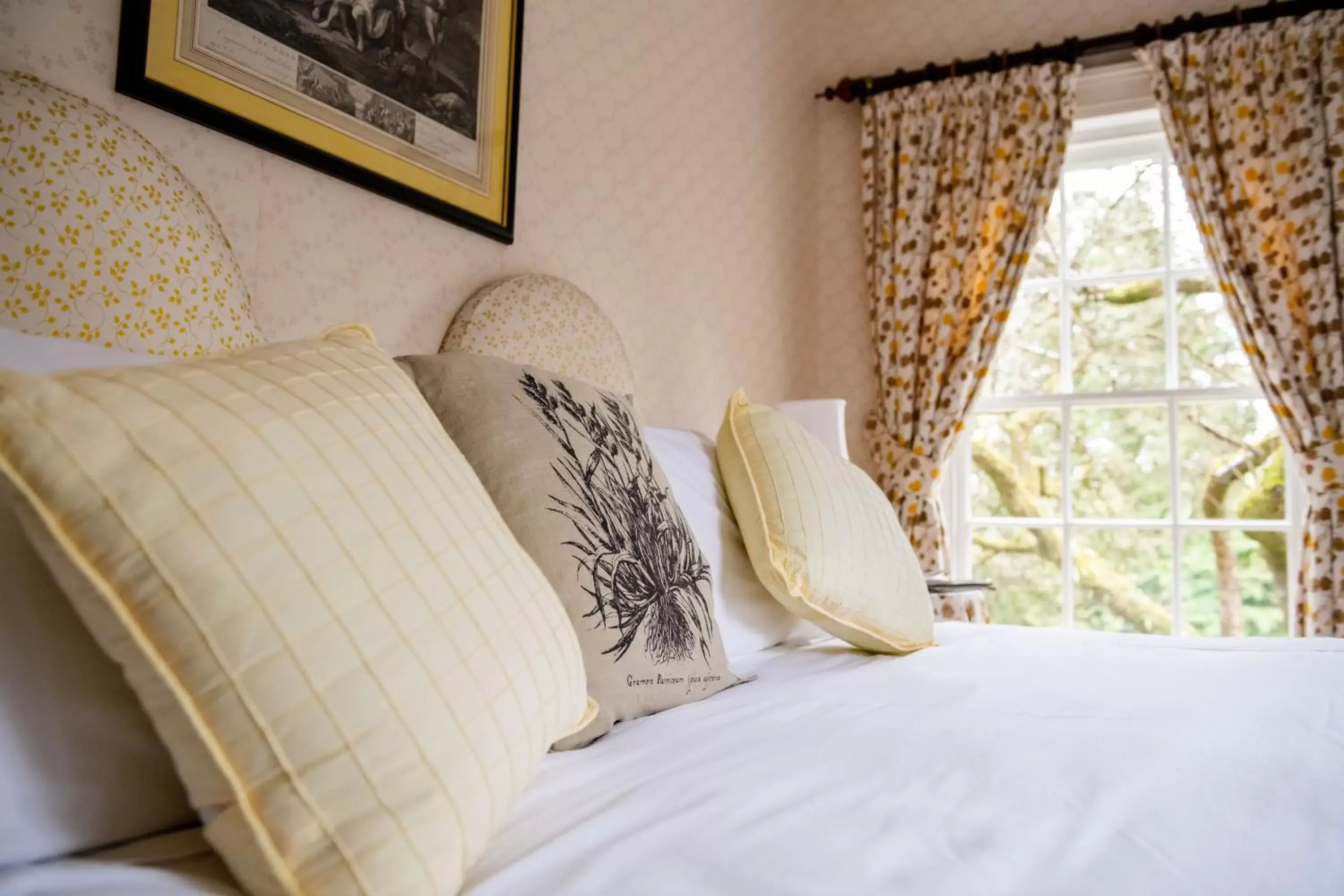 Bed in Ballymote Country House