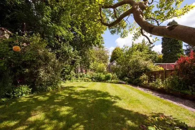 Garden in Comfortable rooms