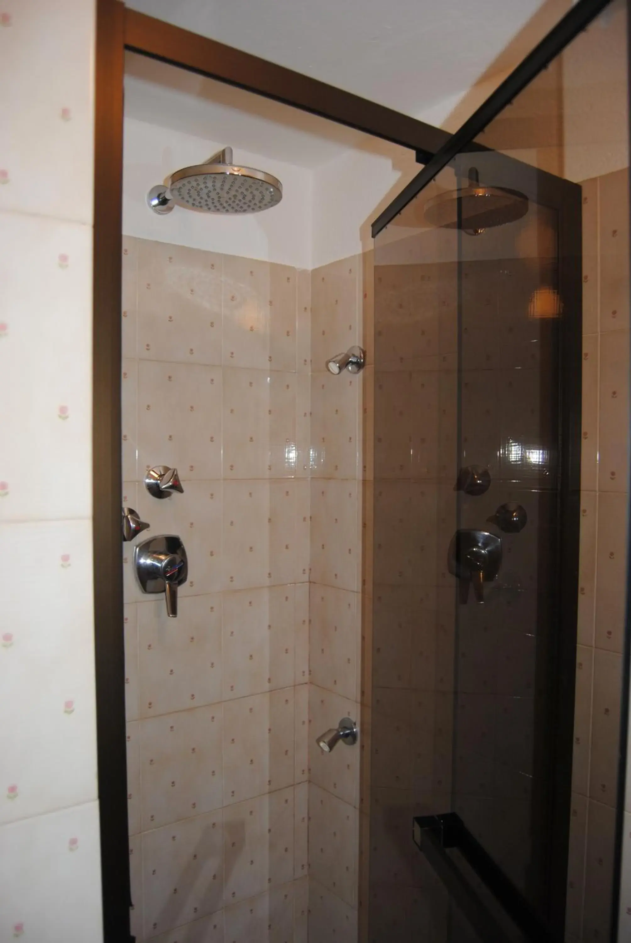 Shower, Bathroom in Hotel Del Viale